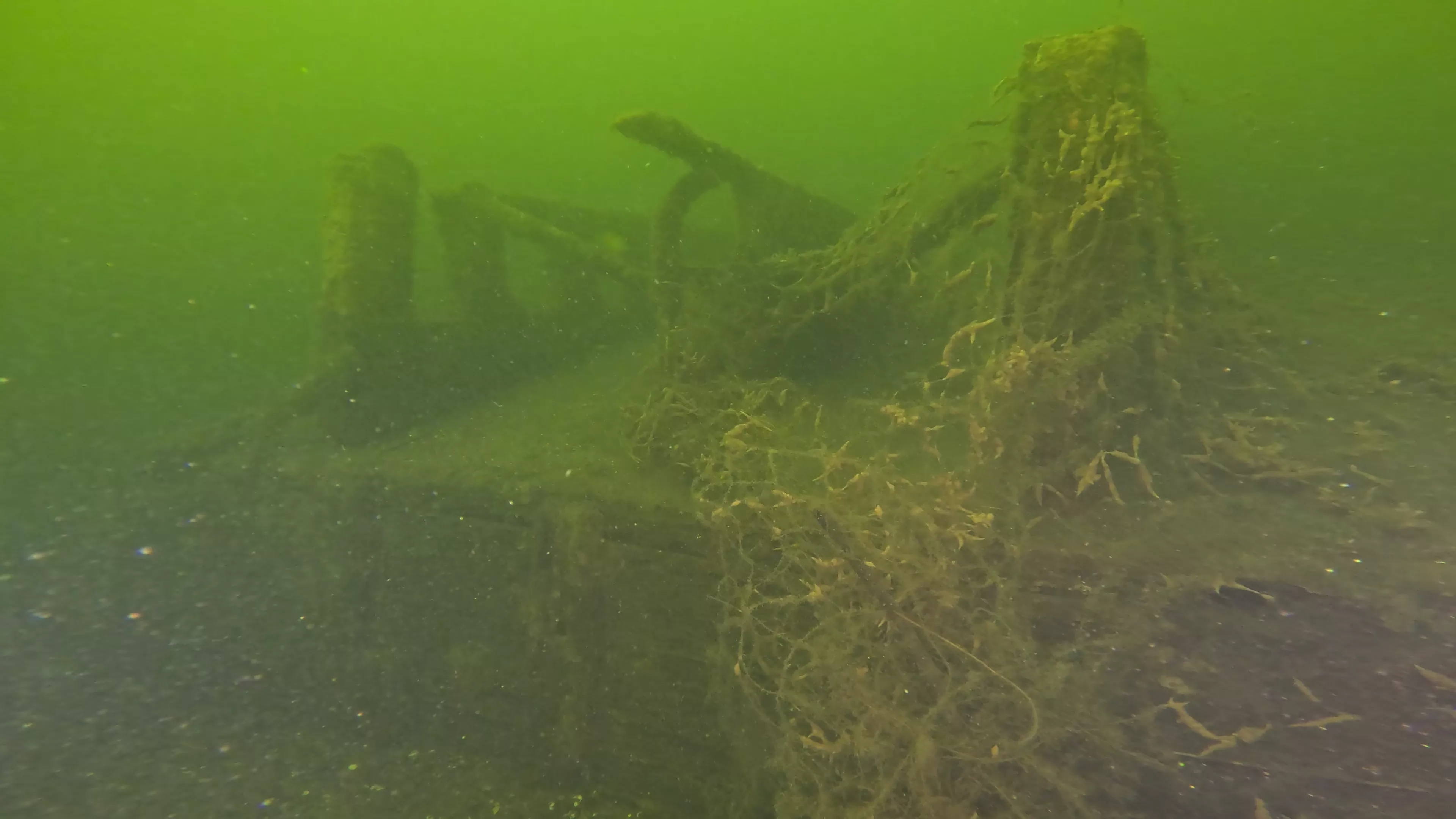 20' Wooden Barge Wreck (LU001), Lake Union, Seattle, WA — main photo