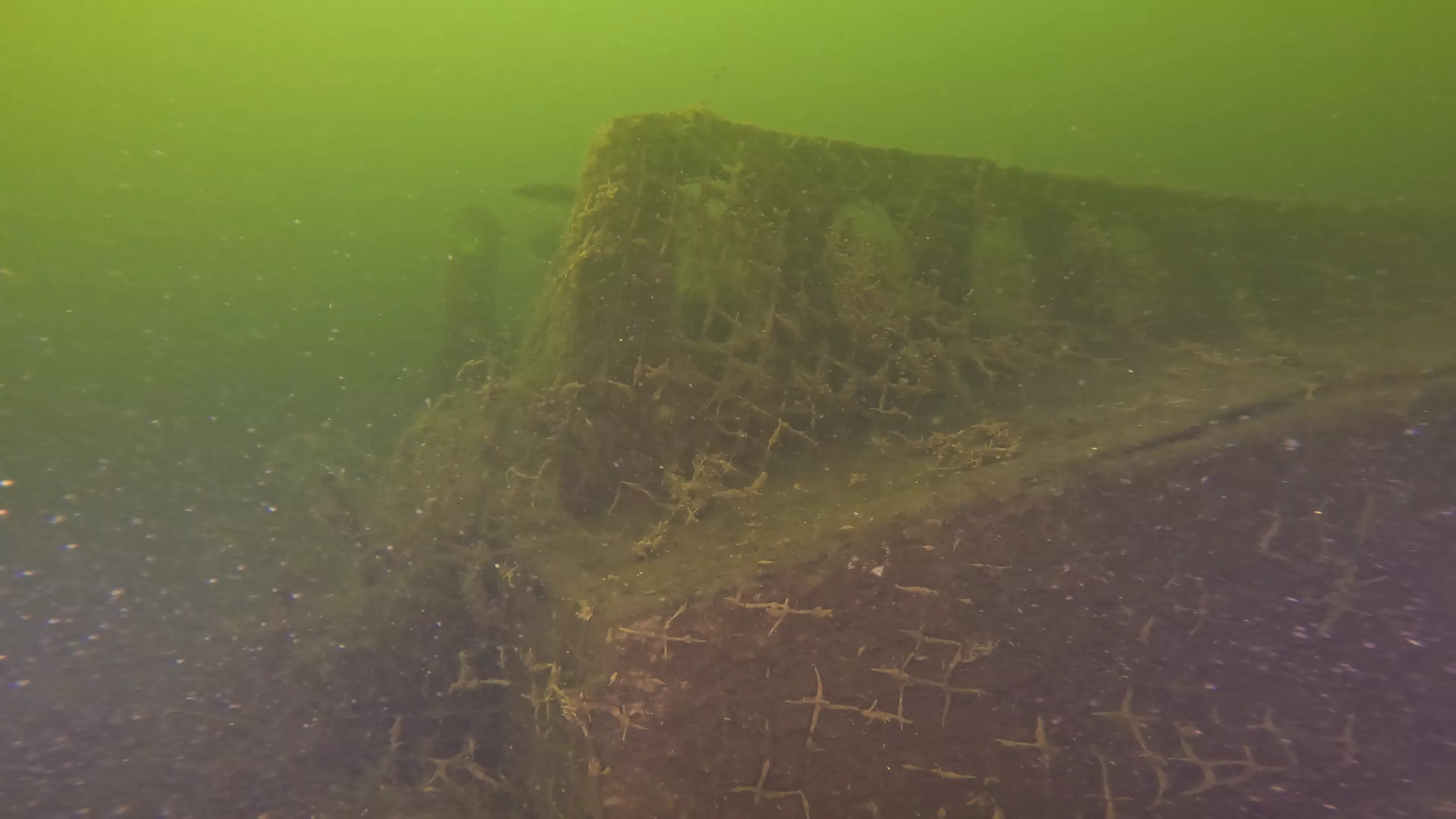 20' Wooden Barge Wreck (LU001), Lake Union, Seattle, WA — photo 5 of 15
