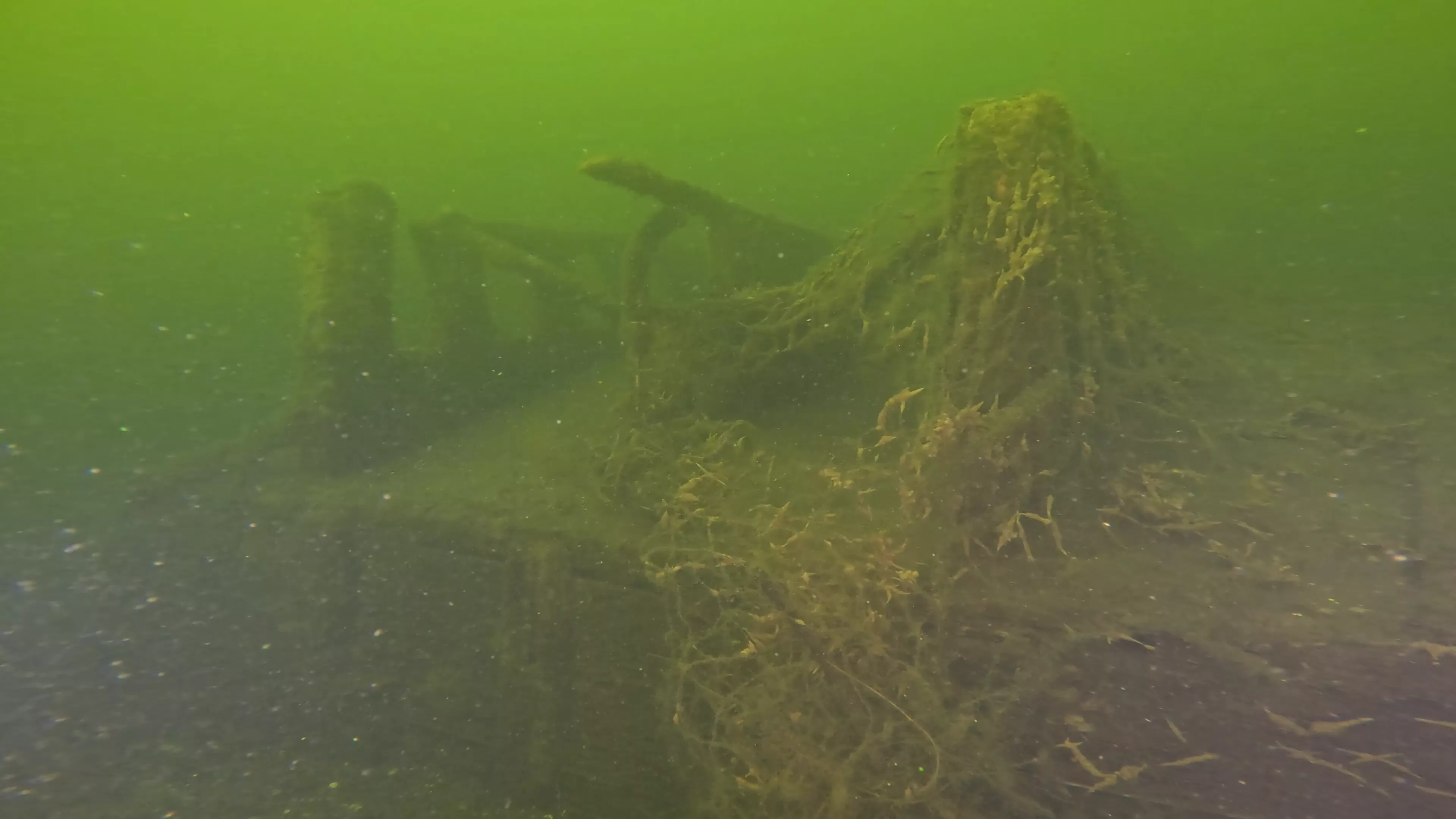 20' Wooden Barge Wreck (LU001), Lake Union, Seattle, WA — photo 6 of 15
