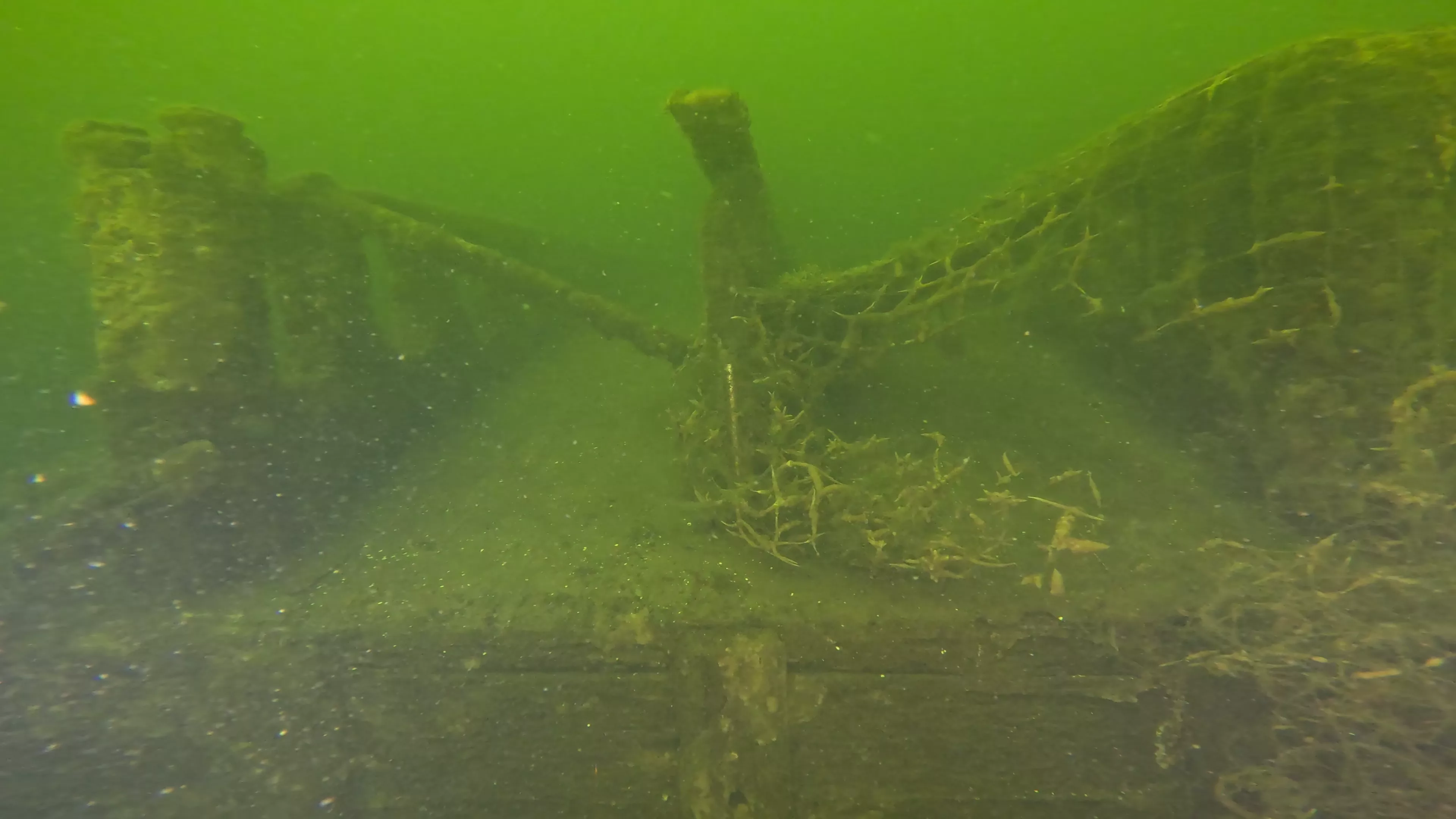 20' Wooden Barge Wreck (LU001), Lake Union, Seattle, WA — photo 7 of 15