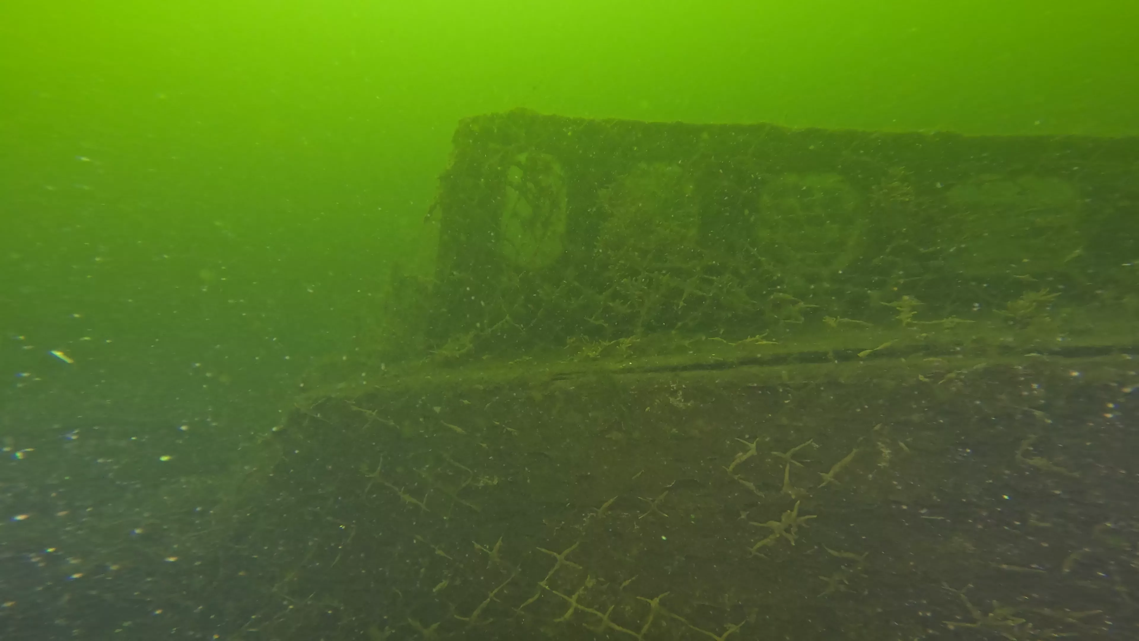 20' Wooden Barge Wreck (LU001), Lake Union, Seattle, WA — photo 8 of 15