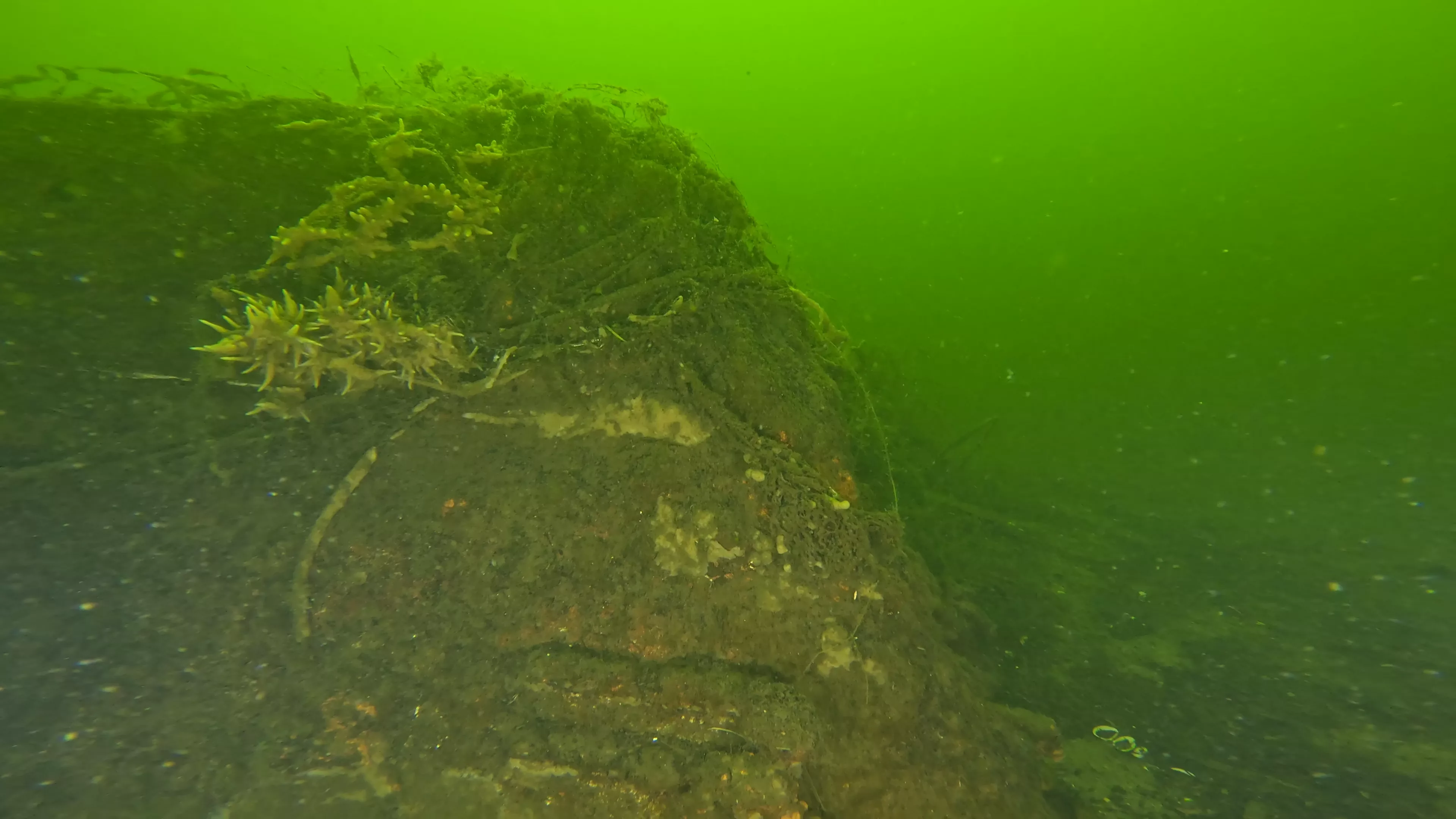 20' Wooden Barge Wreck (LU001), Lake Union, Seattle, WA — photo 10 of 15