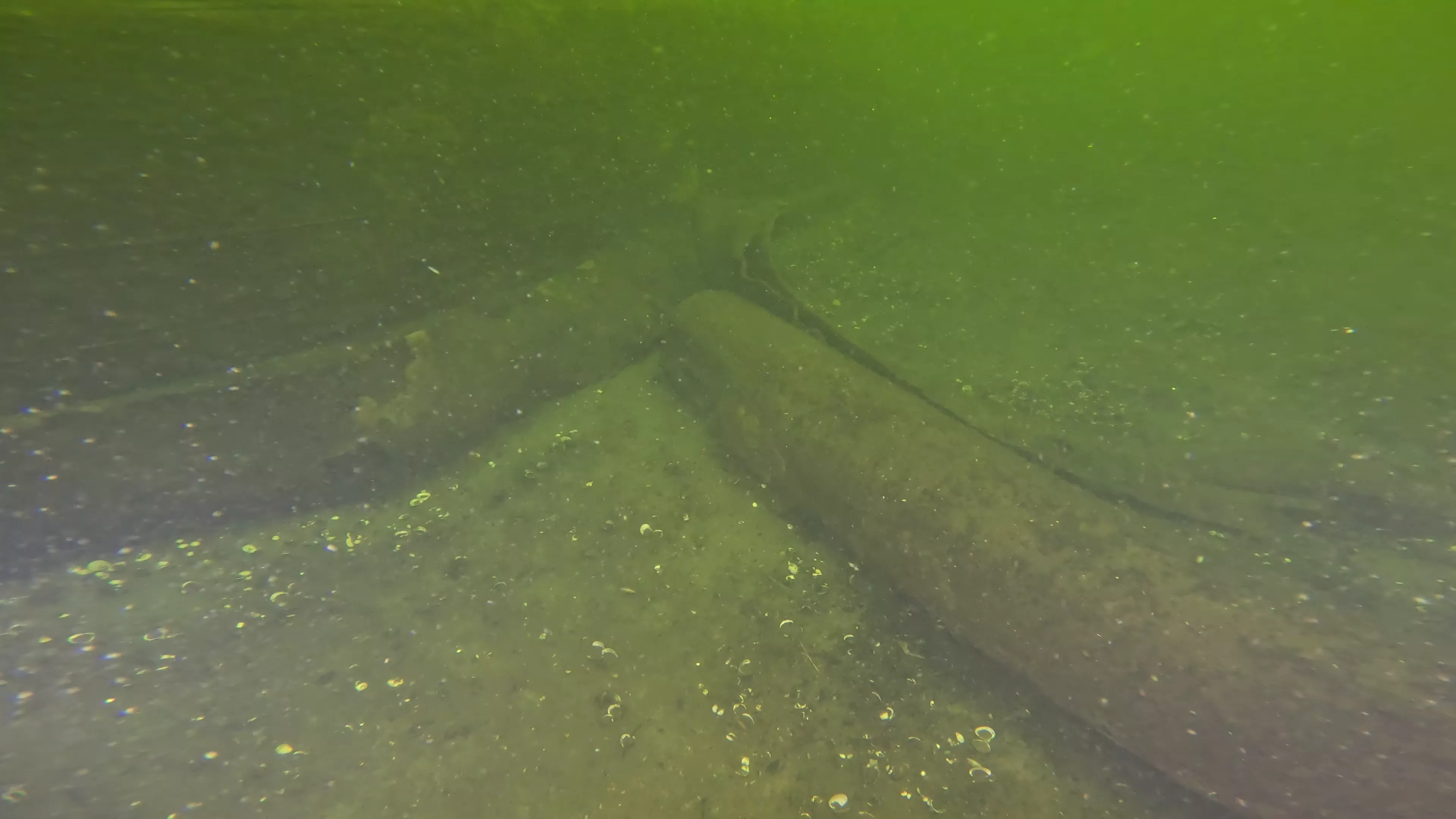 20' Wooden Barge Wreck (LU001), Lake Union, Seattle, WA — photo 13 of 15