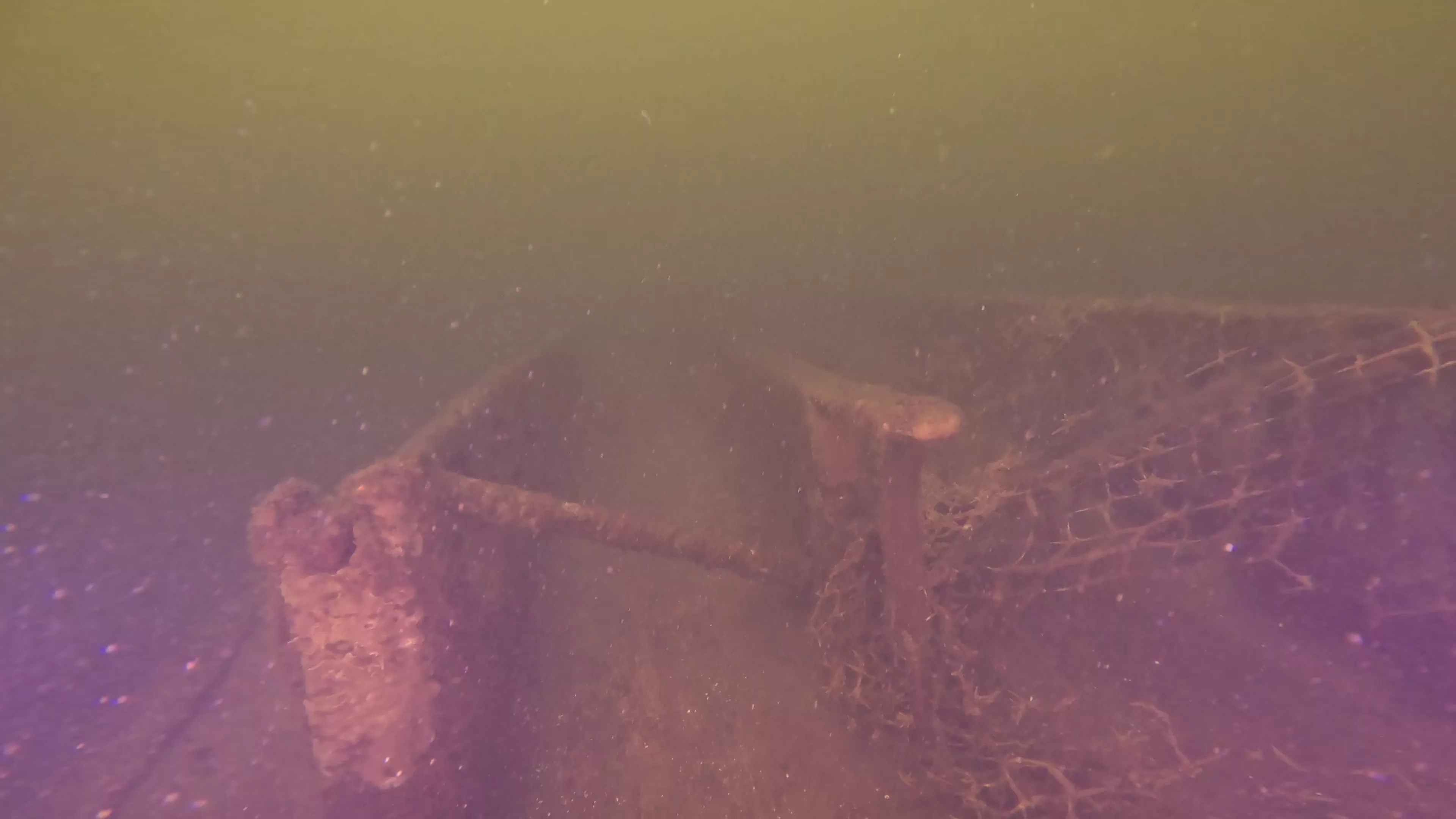 20' Wooden Barge Wreck (LU001), Lake Union, Seattle, WA — photo 14 of 15