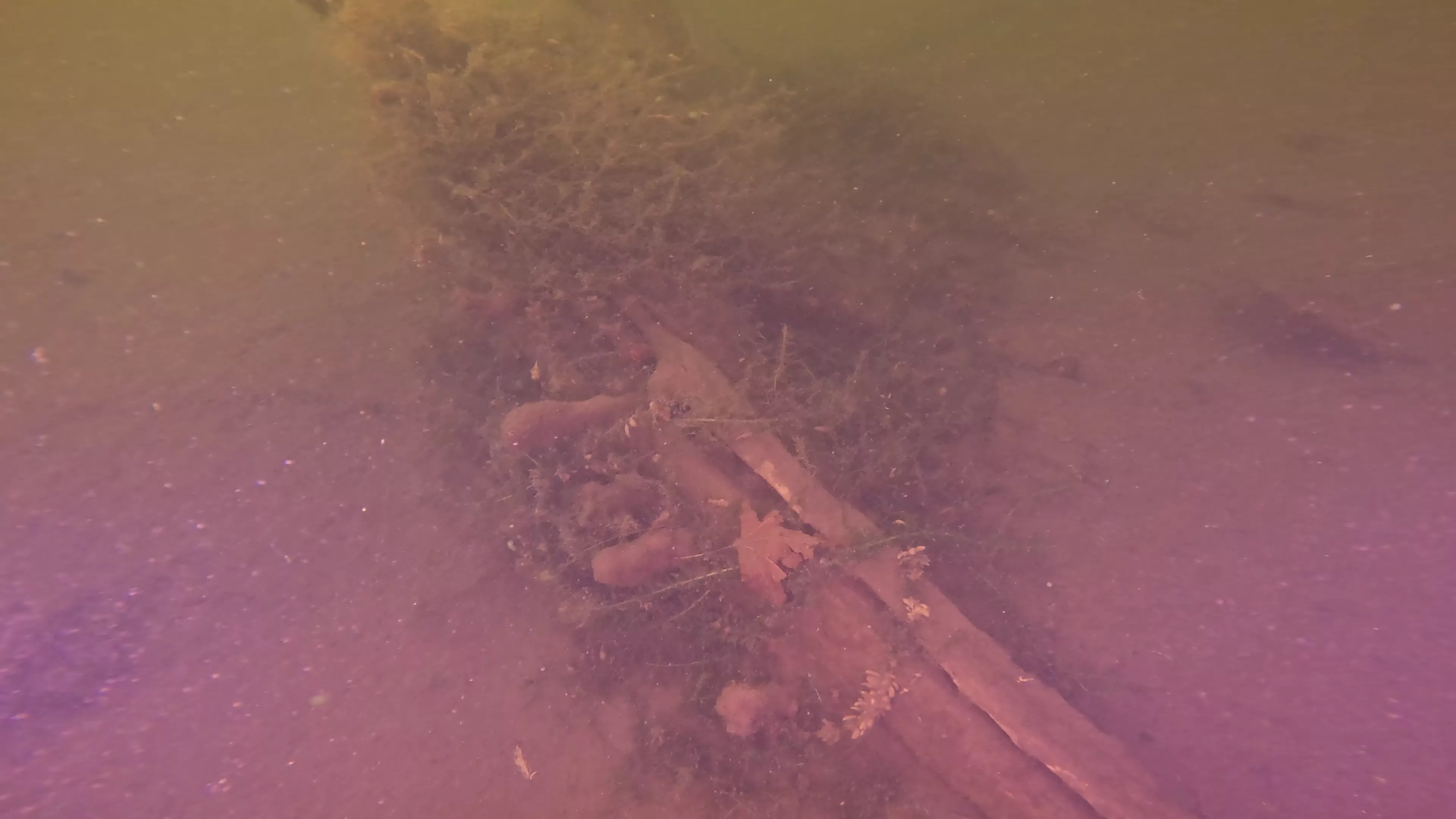 16' Sunken Wood Structure (LU002), Lake Union, Seattle, WA — photo 7 of 11