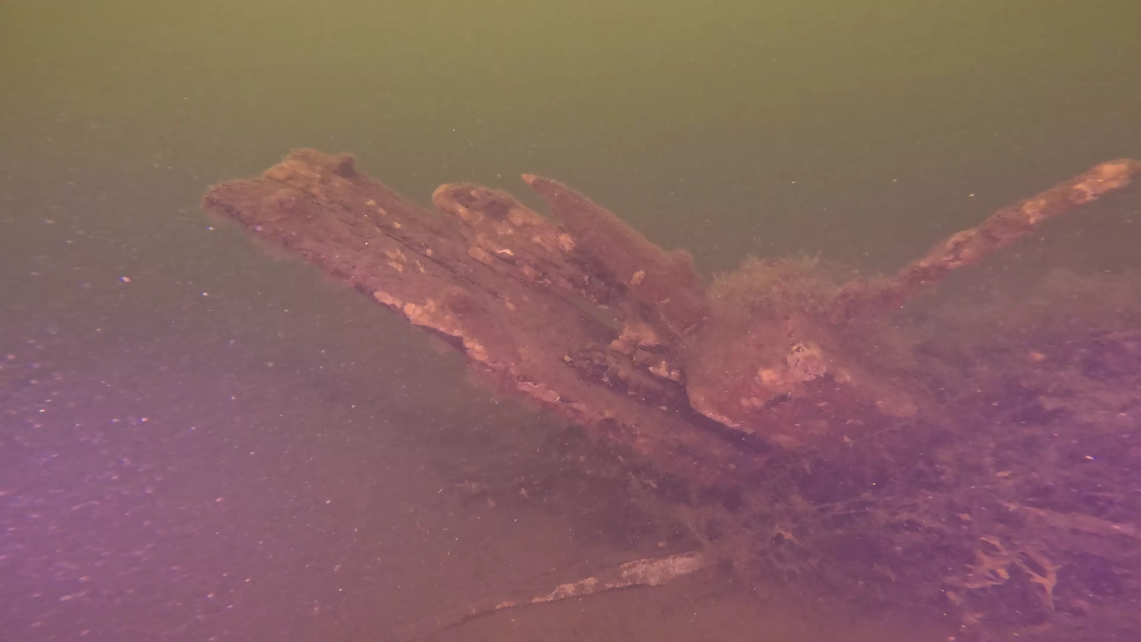 16' Sunken Wood Structure (LU002), Lake Union, Seattle, WA — photo 10 of 11