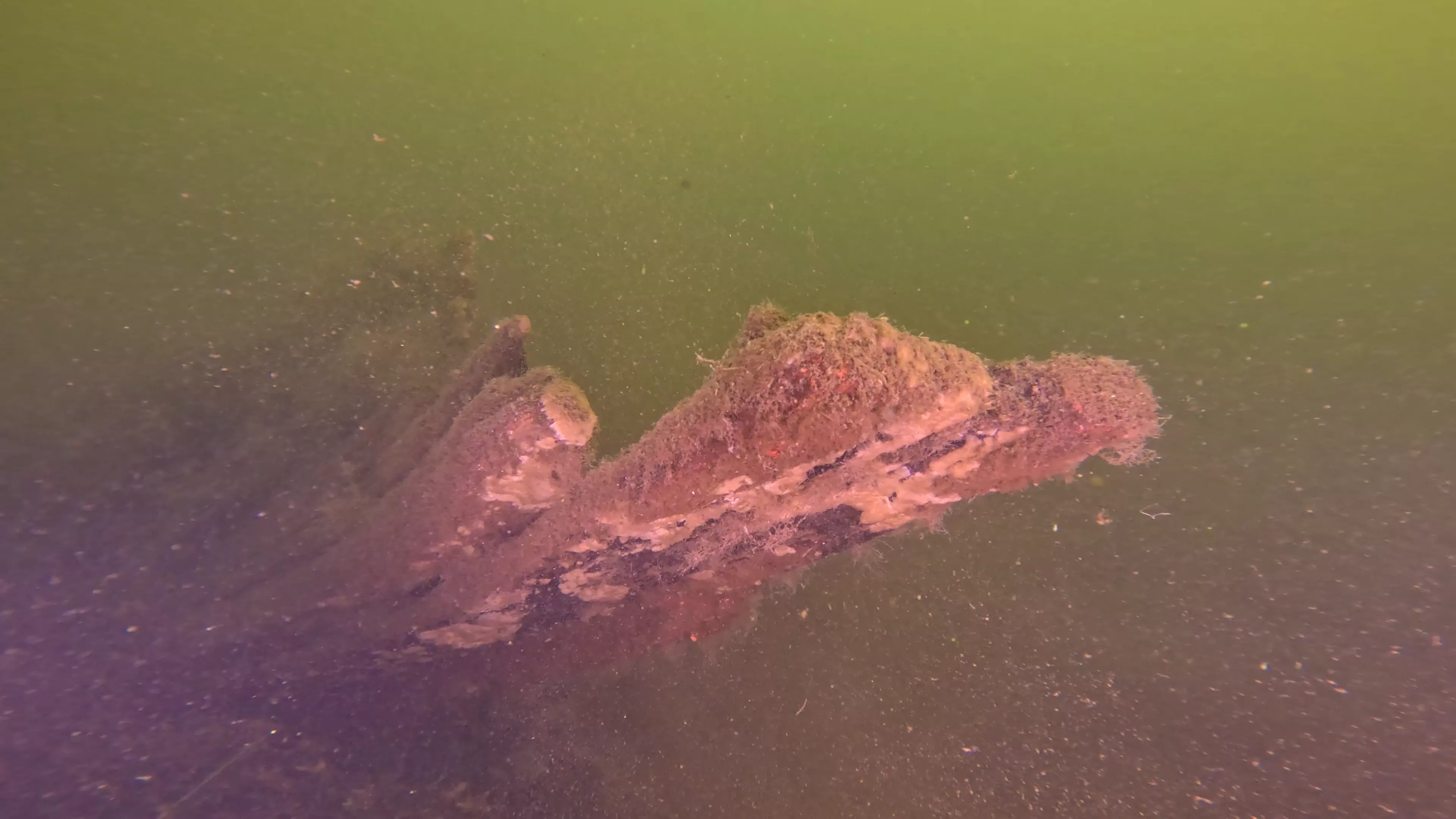 16' Sunken Wood Structure (LU002), Lake Union, Seattle, WA — photo 11 of 11