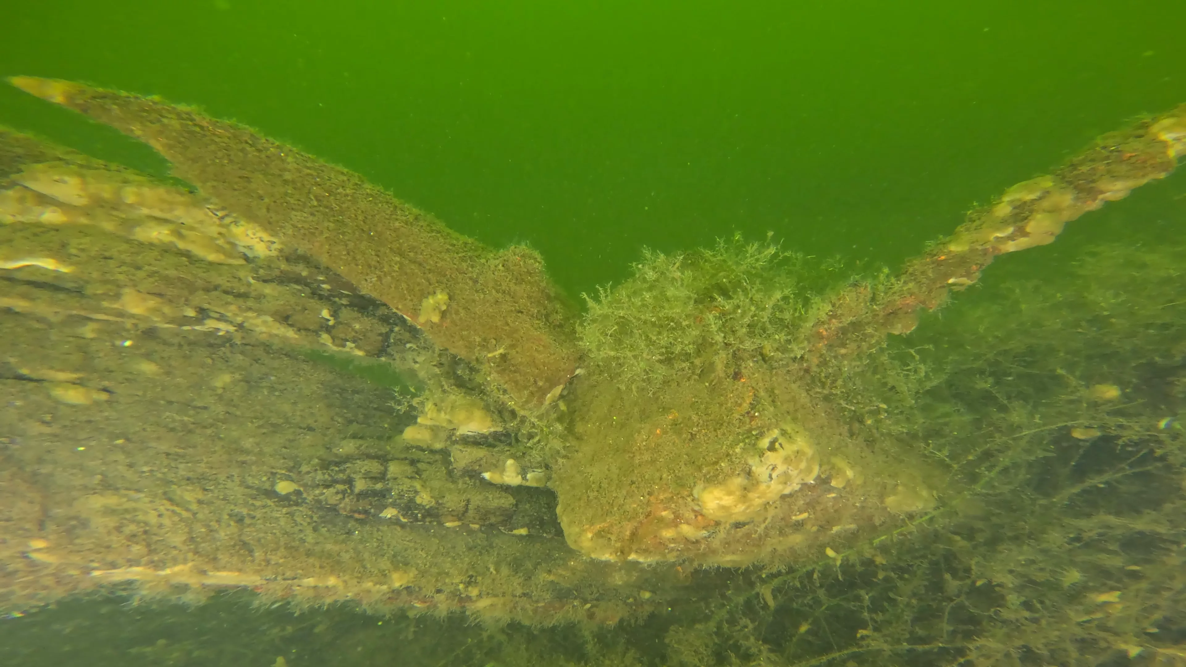 16' Sunken Wood Structure (LU002), Lake Union, Seattle, WA — main photo