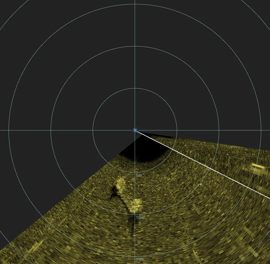 16' Sunken Wood Structure (LU002), Lake Union, Seattle, WA — side-scan sonar image