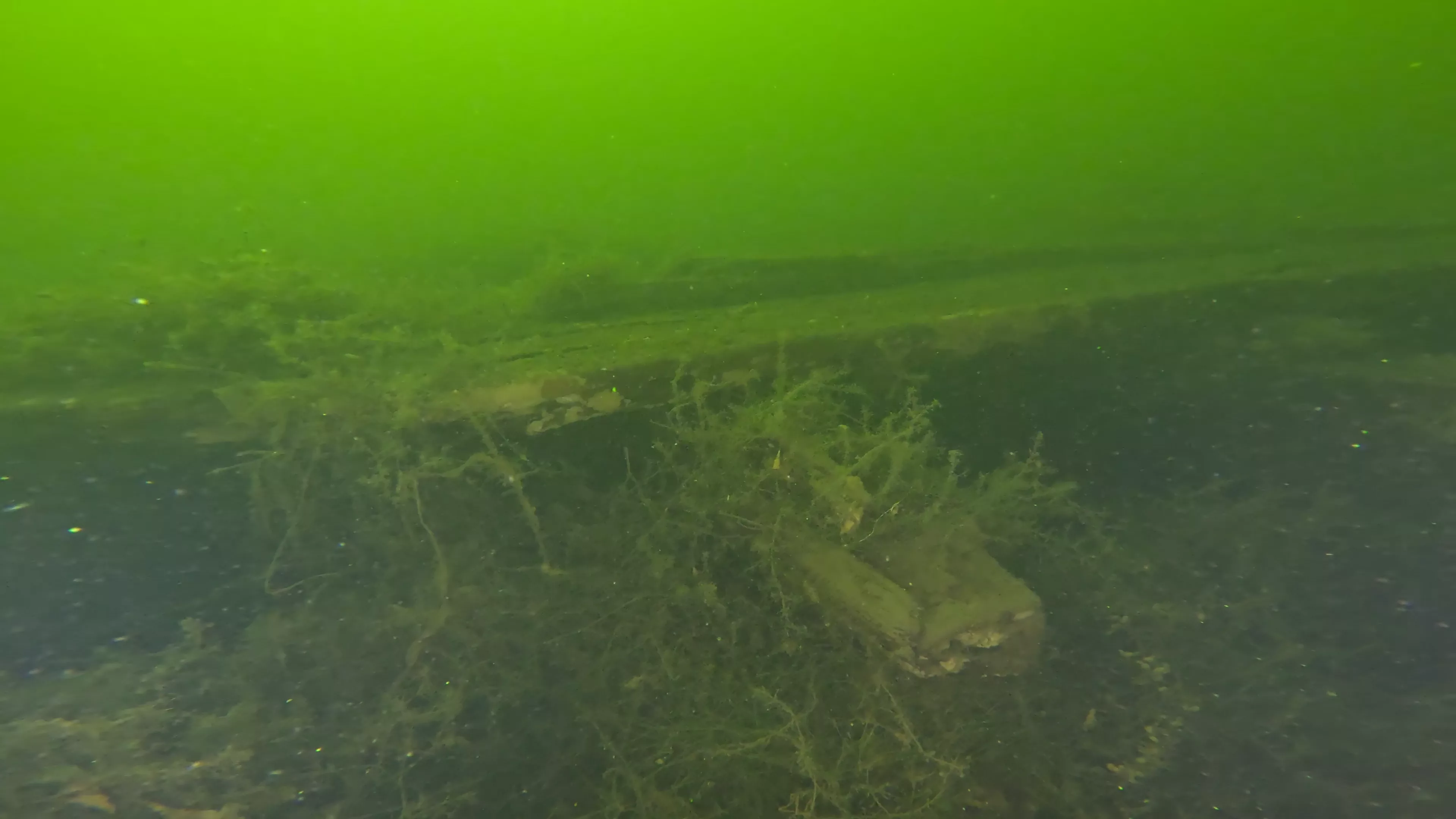 100' Wooden Barge Wreck (LU003), Lake Union, Seattle, WA — photo 1 of 14