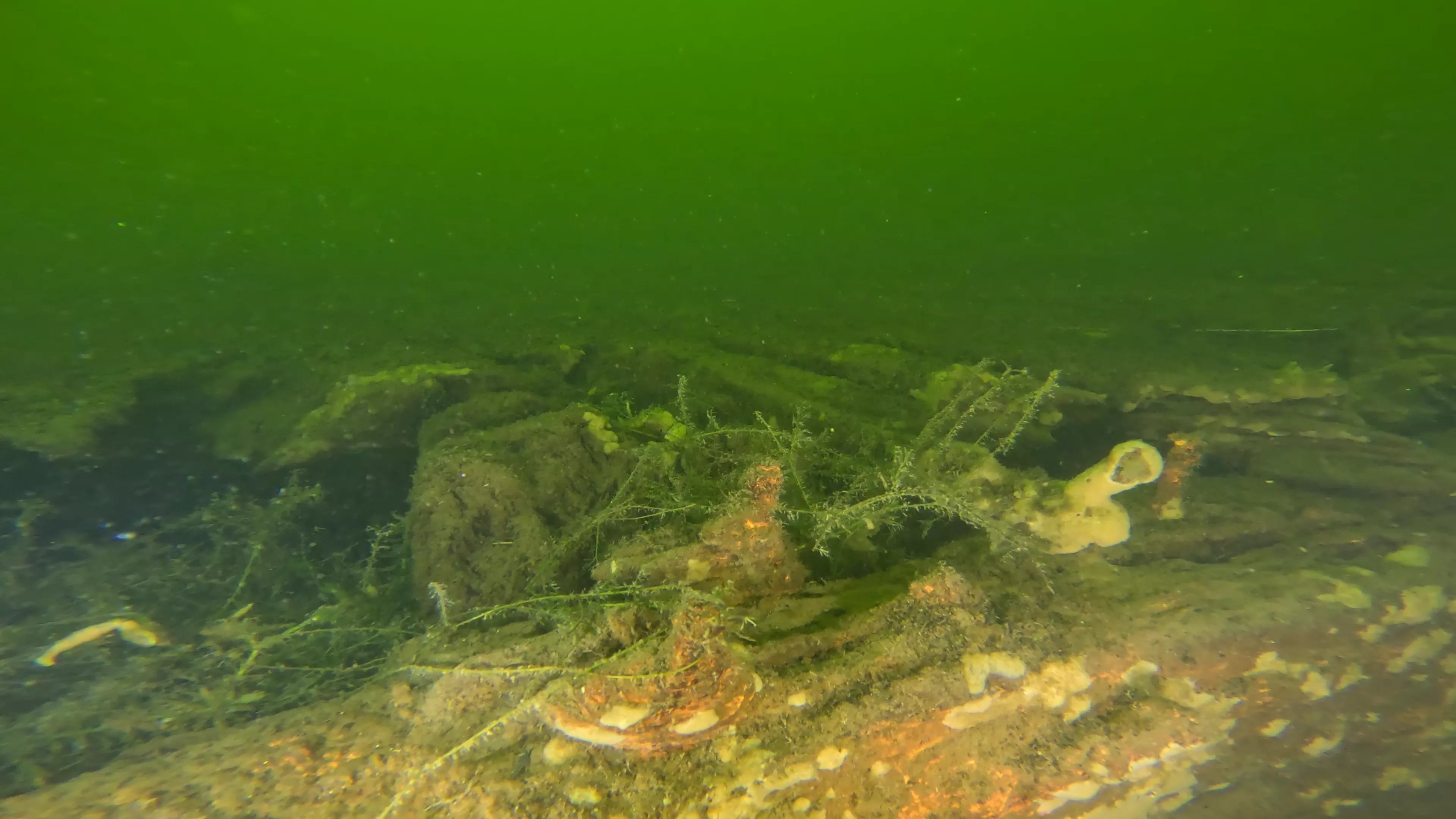 100' Wooden Barge Wreck (LU003), Lake Union, Seattle, WA — photo 2 of 14