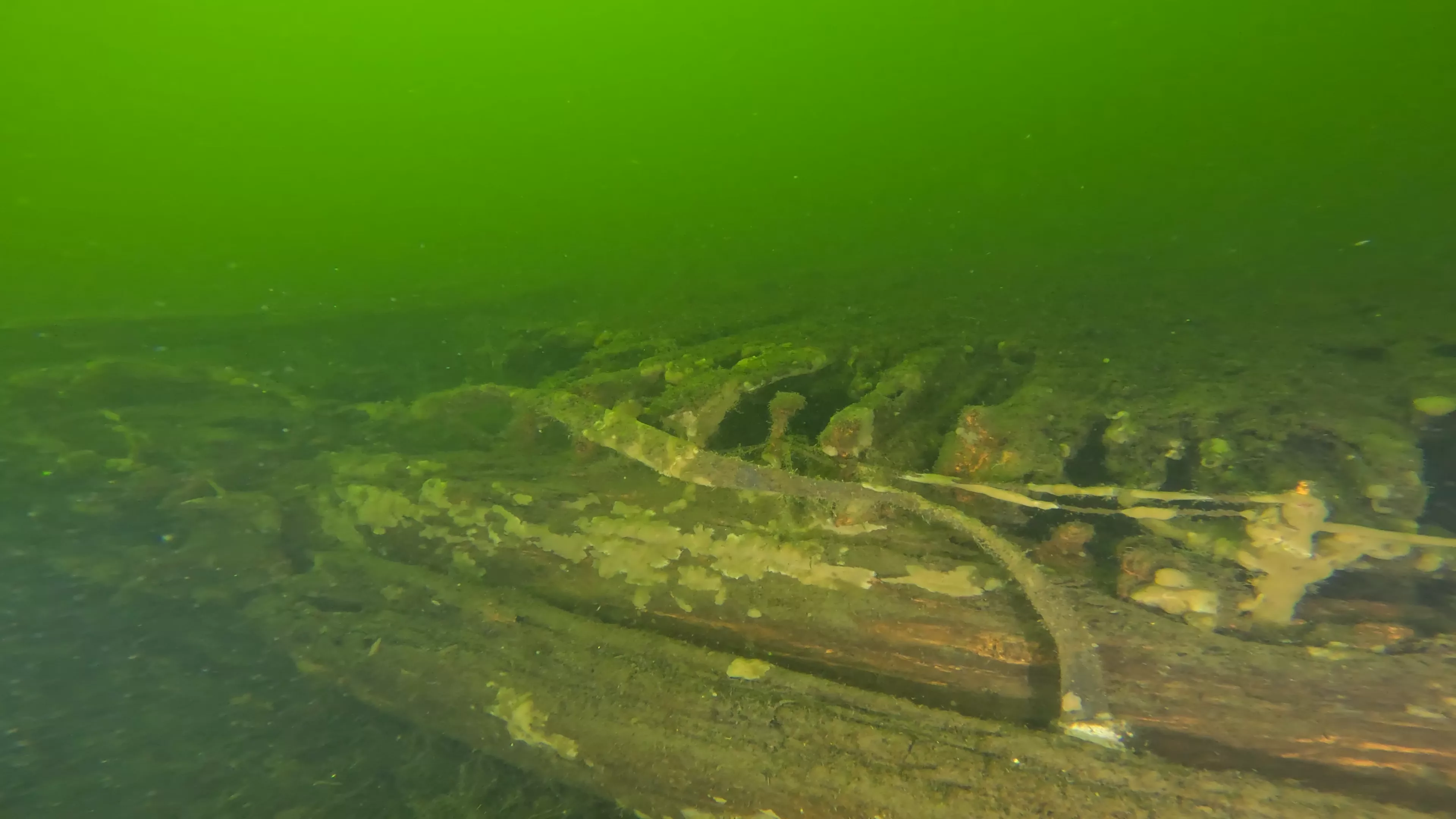 100' Wooden Barge Wreck (LU003), Lake Union, Seattle, WA — photo 3 of 14
