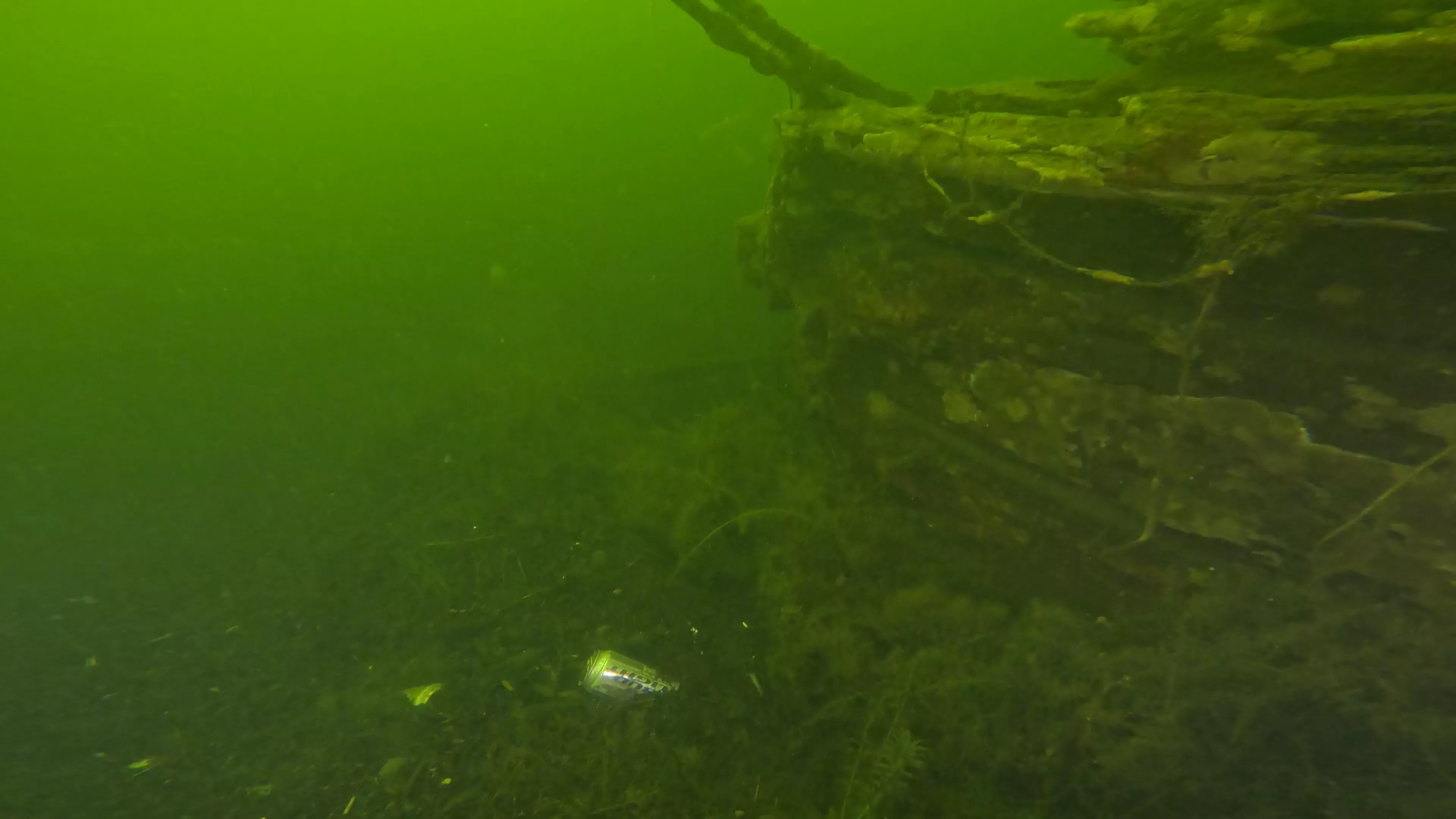100' Wooden Barge Wreck (LU003), Lake Union, Seattle, WA — photo 4 of 14