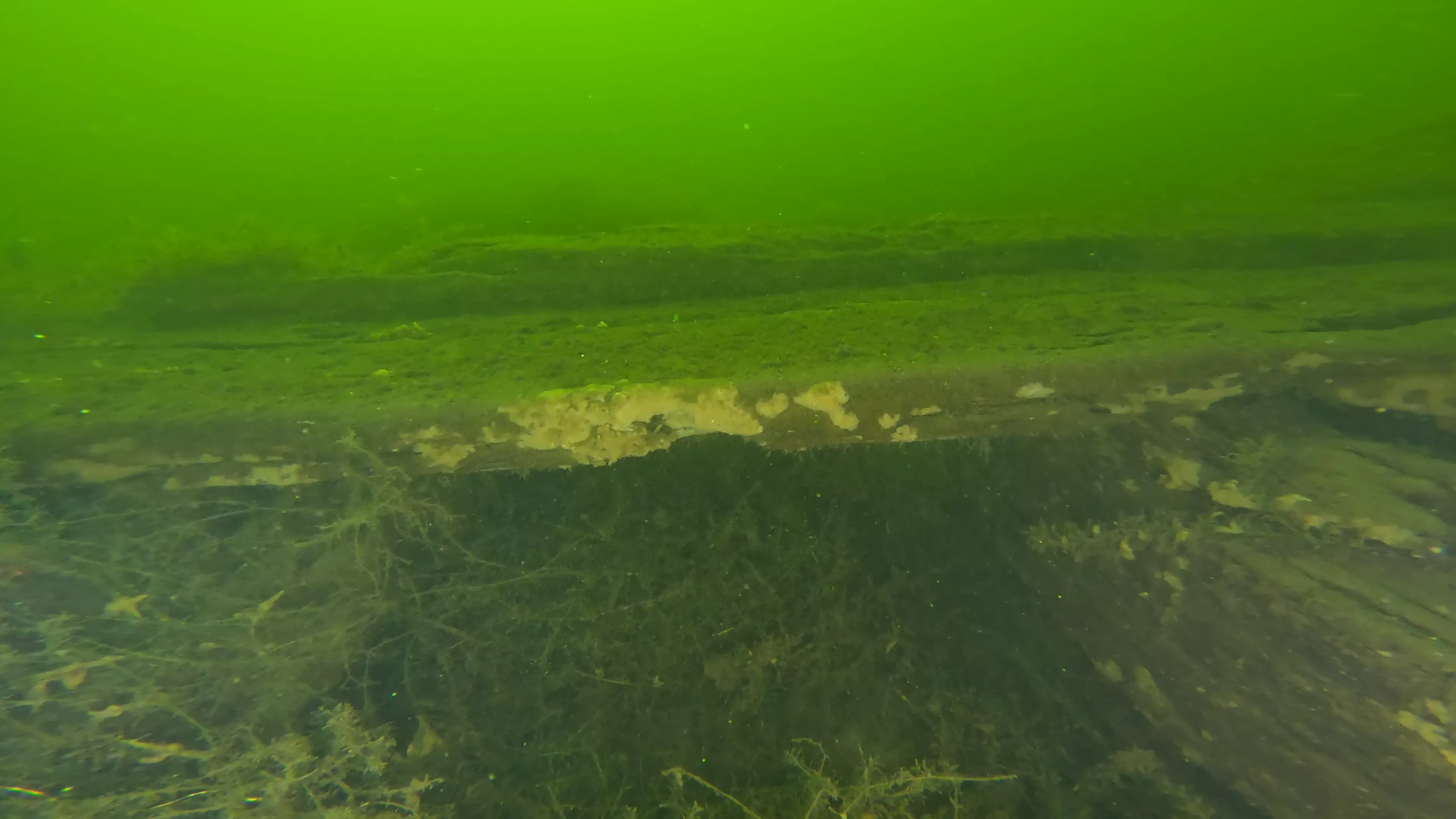 100' Wooden Barge Wreck (LU003), Lake Union, Seattle, WA — photo 8 of 14