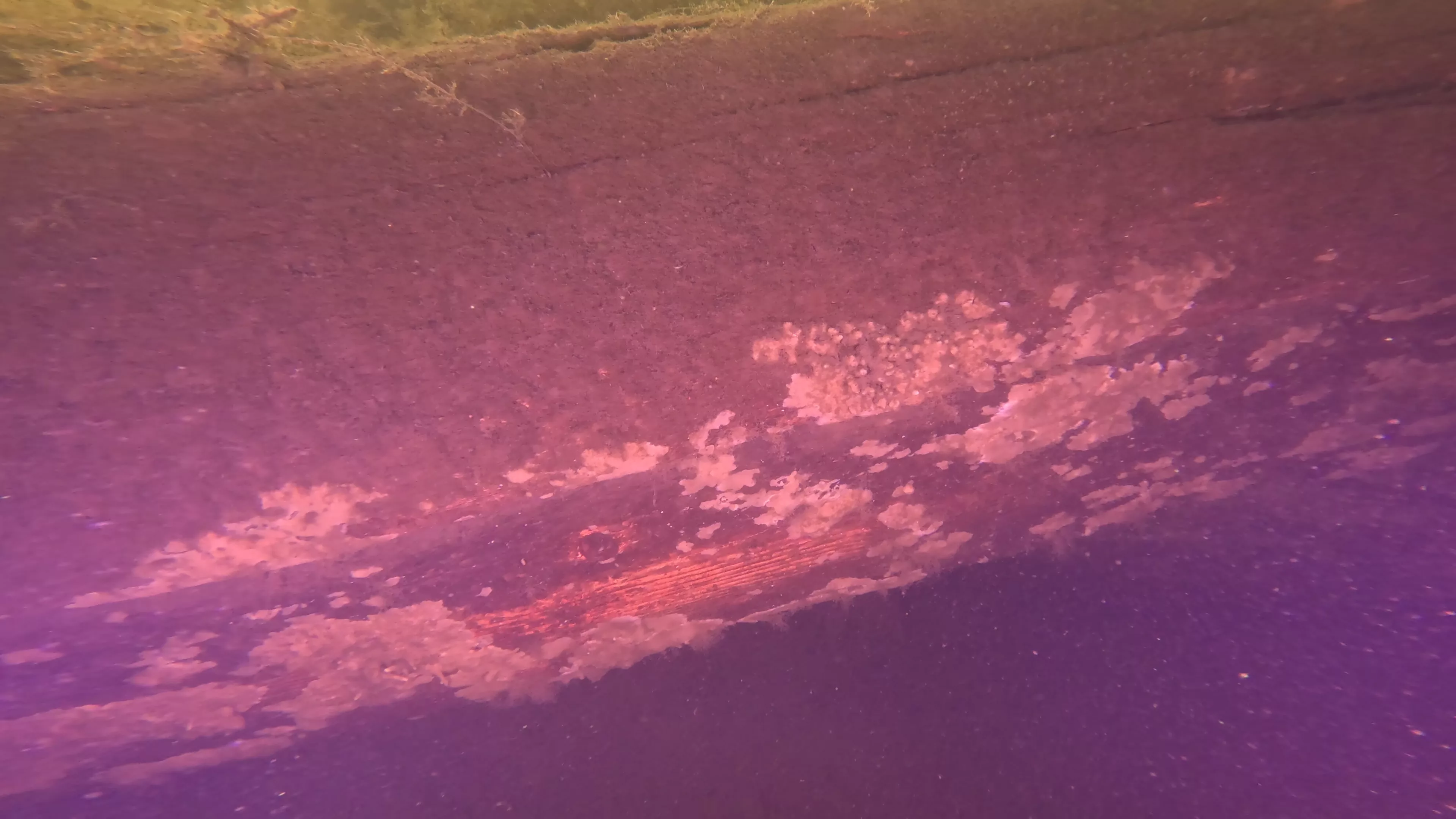 100' Wooden Barge Wreck (LU003), Lake Union, Seattle, WA — photo 9 of 14
