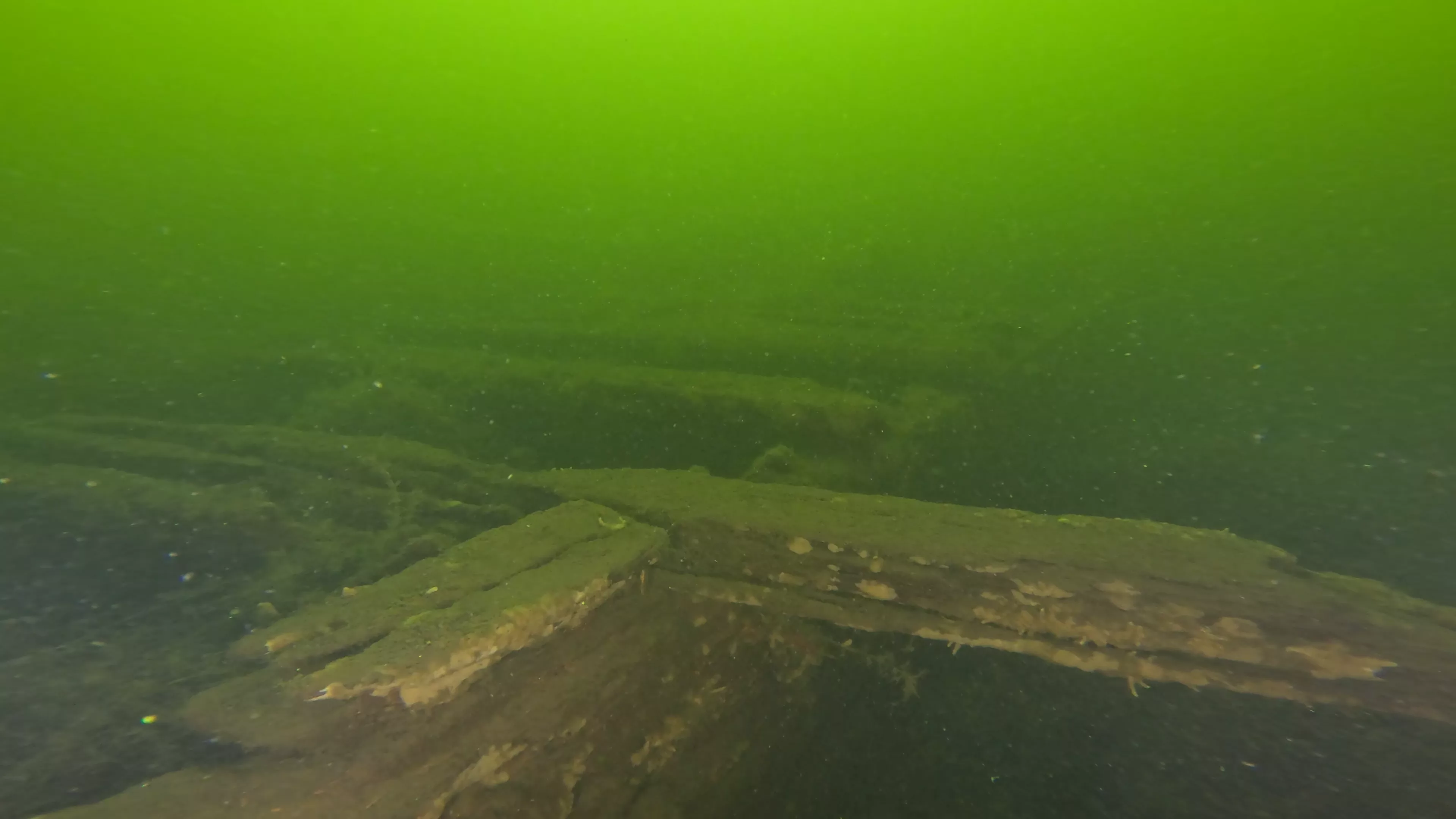 100' Wooden Barge Wreck (LU003), Lake Union, Seattle, WA — photo 11 of 14