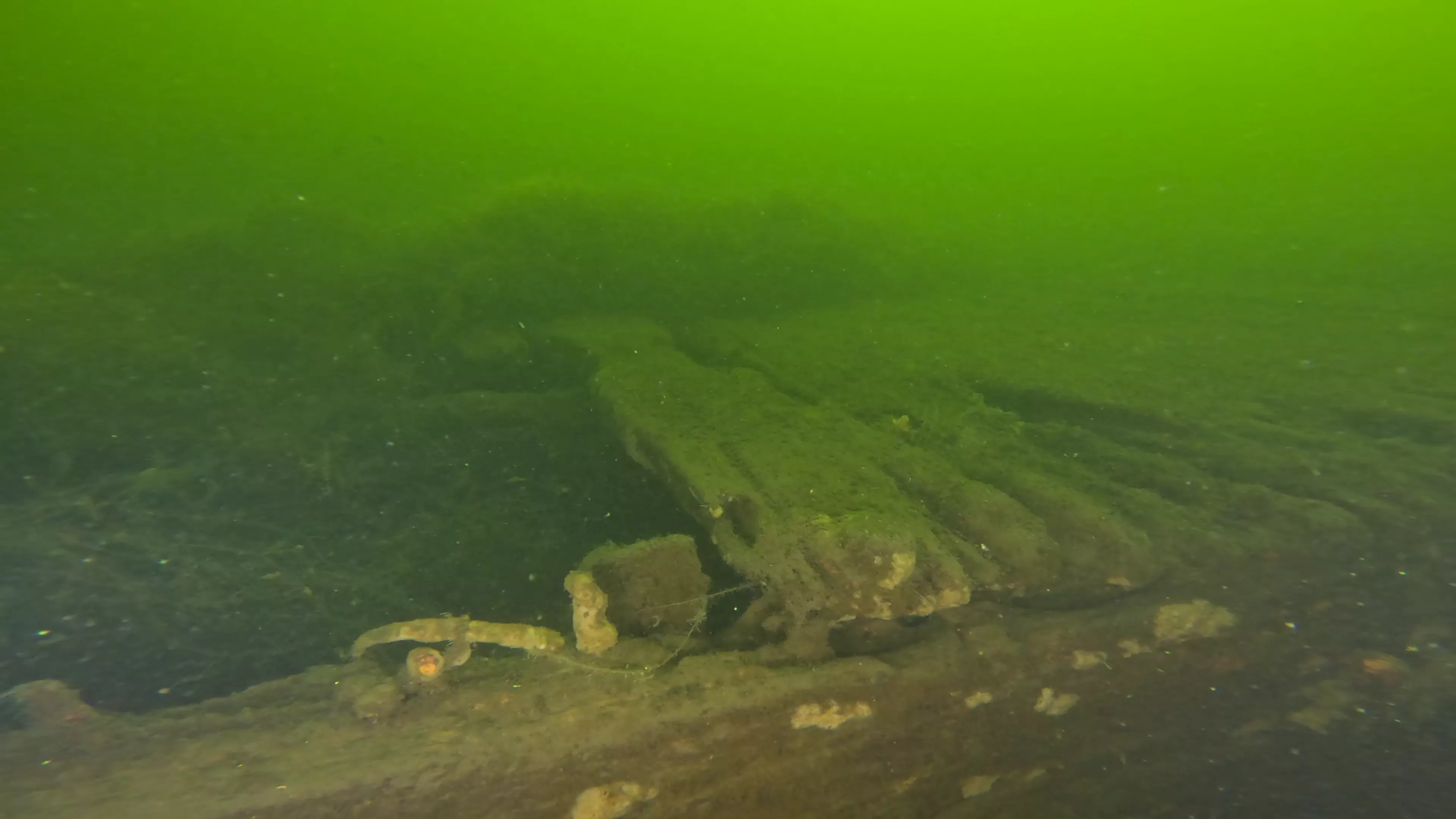 100' Wooden Barge Wreck (LU003), Lake Union, Seattle, WA — photo 12 of 14