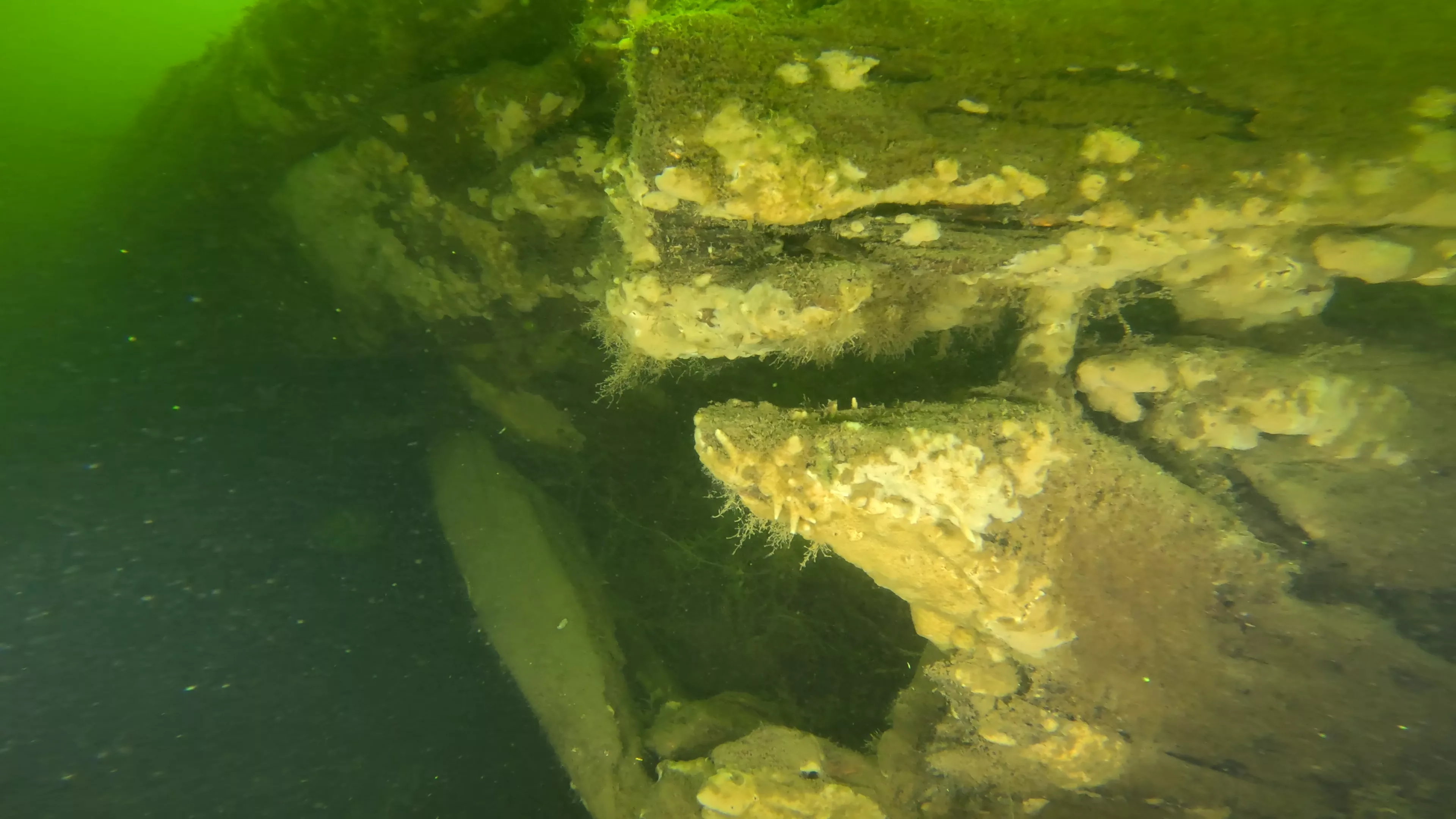 100' Wooden Barge Wreck (LU003), Lake Union, Seattle, WA — main photo