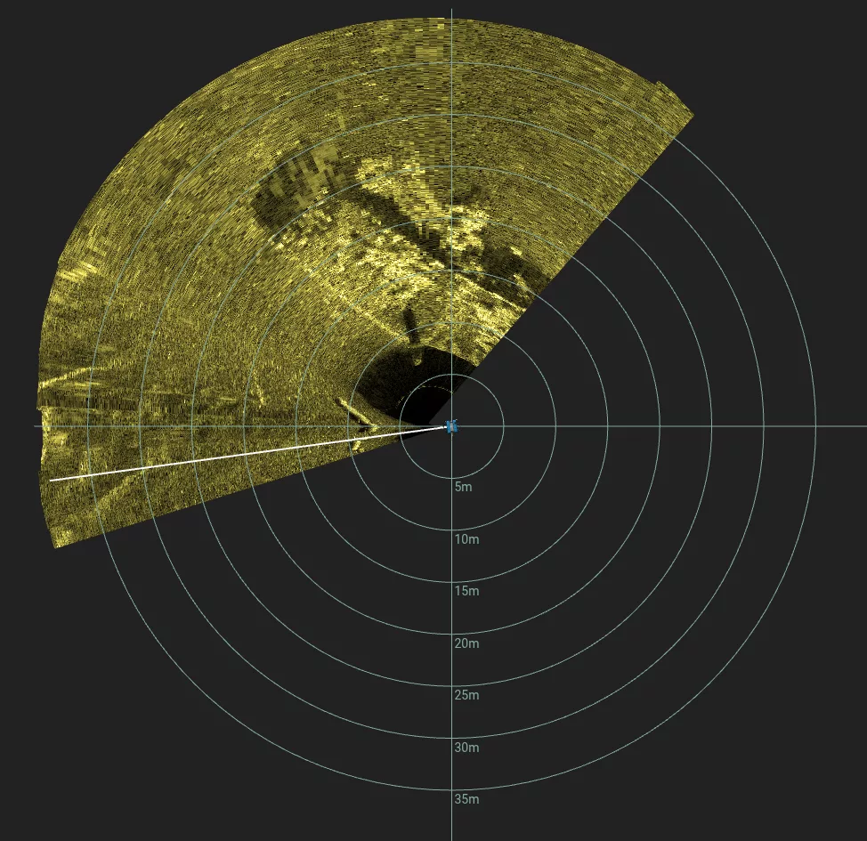 100' Wooden Barge Wreck (LU003), Lake Union, Seattle, WA — side-scan sonar image