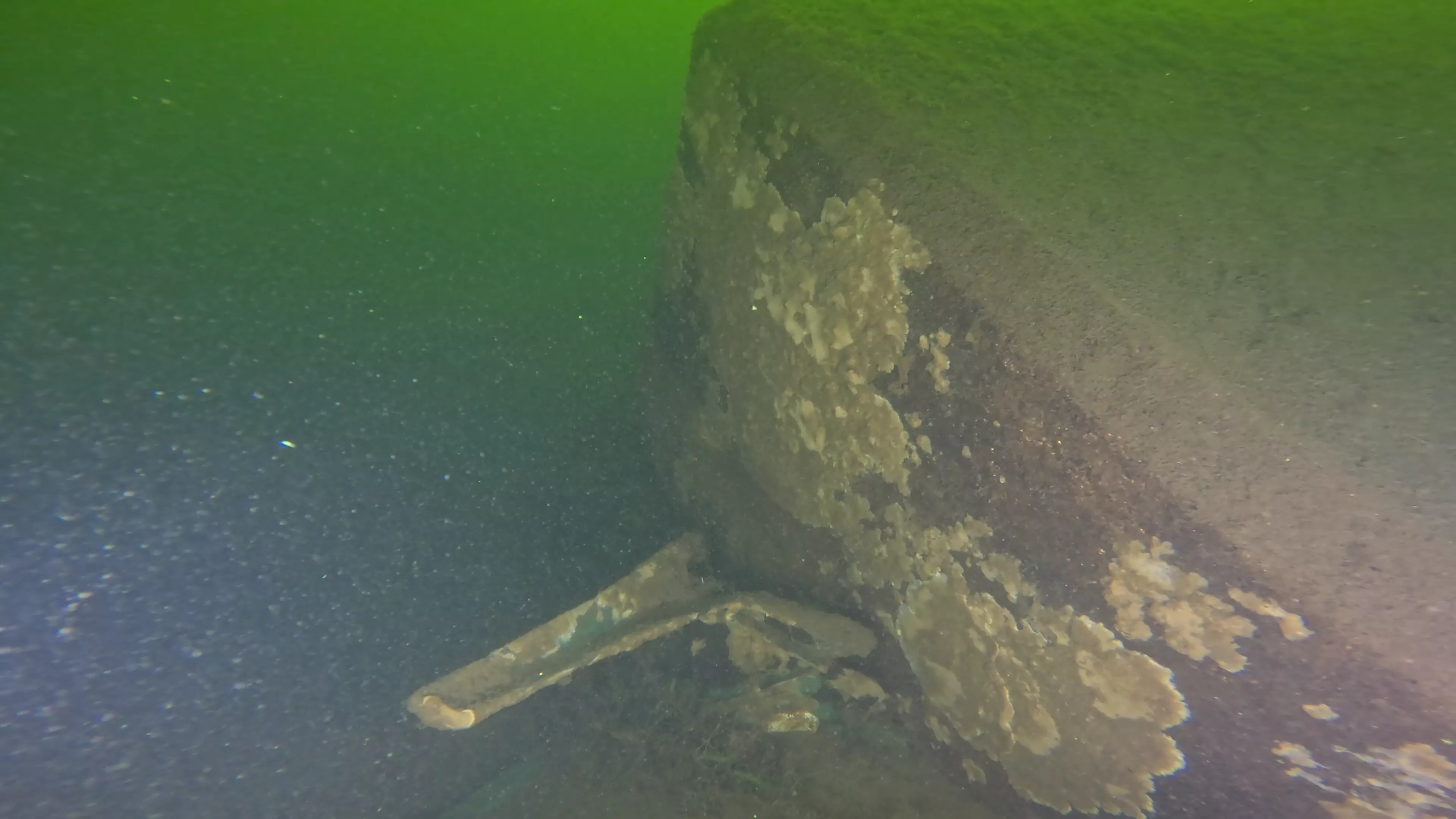 Metal Frame Debris (LU004), Lake Union, Seattle, WA — photo 2 of 8