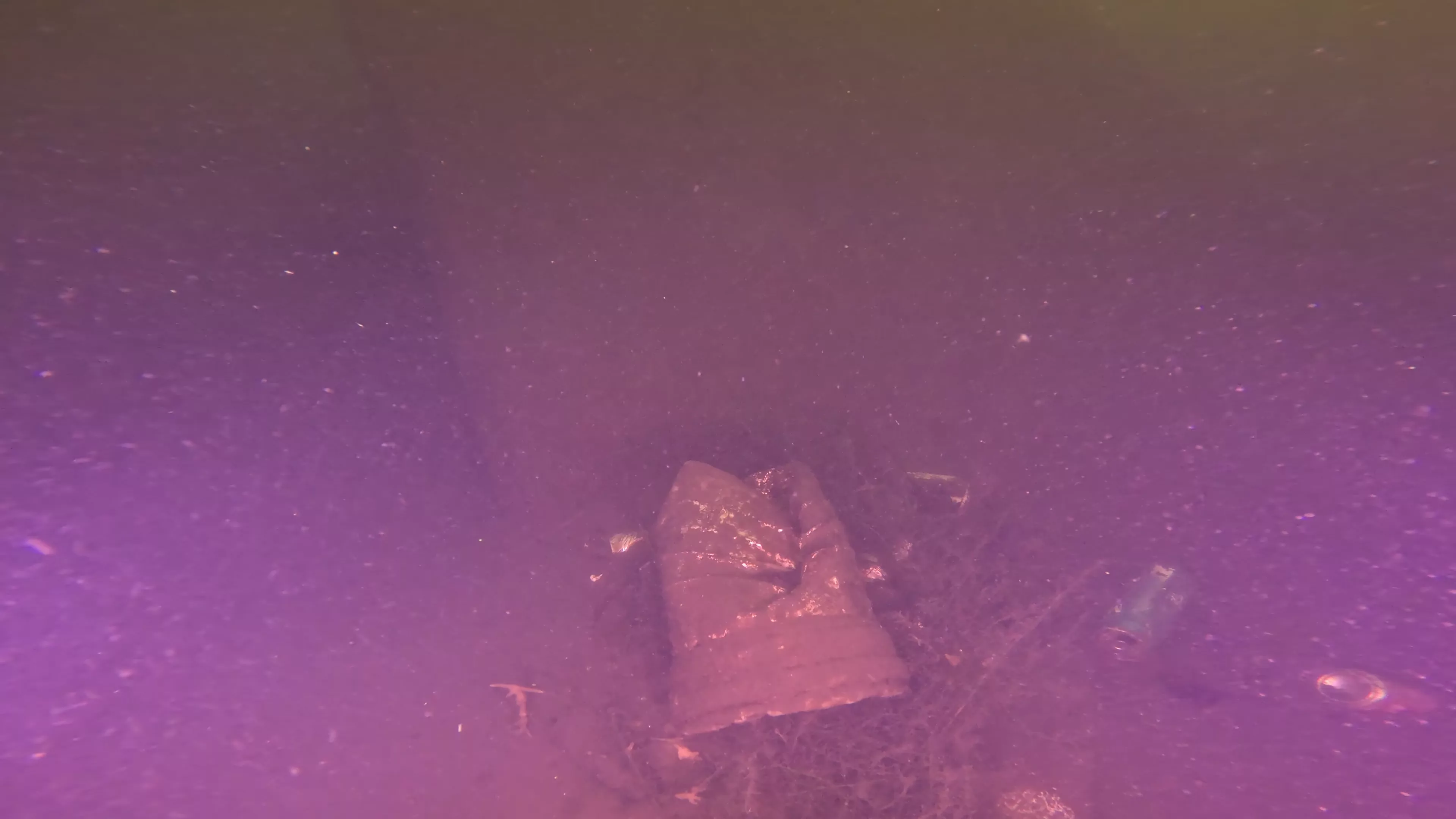 Metal Frame Debris (LU004), Lake Union, Seattle, WA — photo 5 of 8