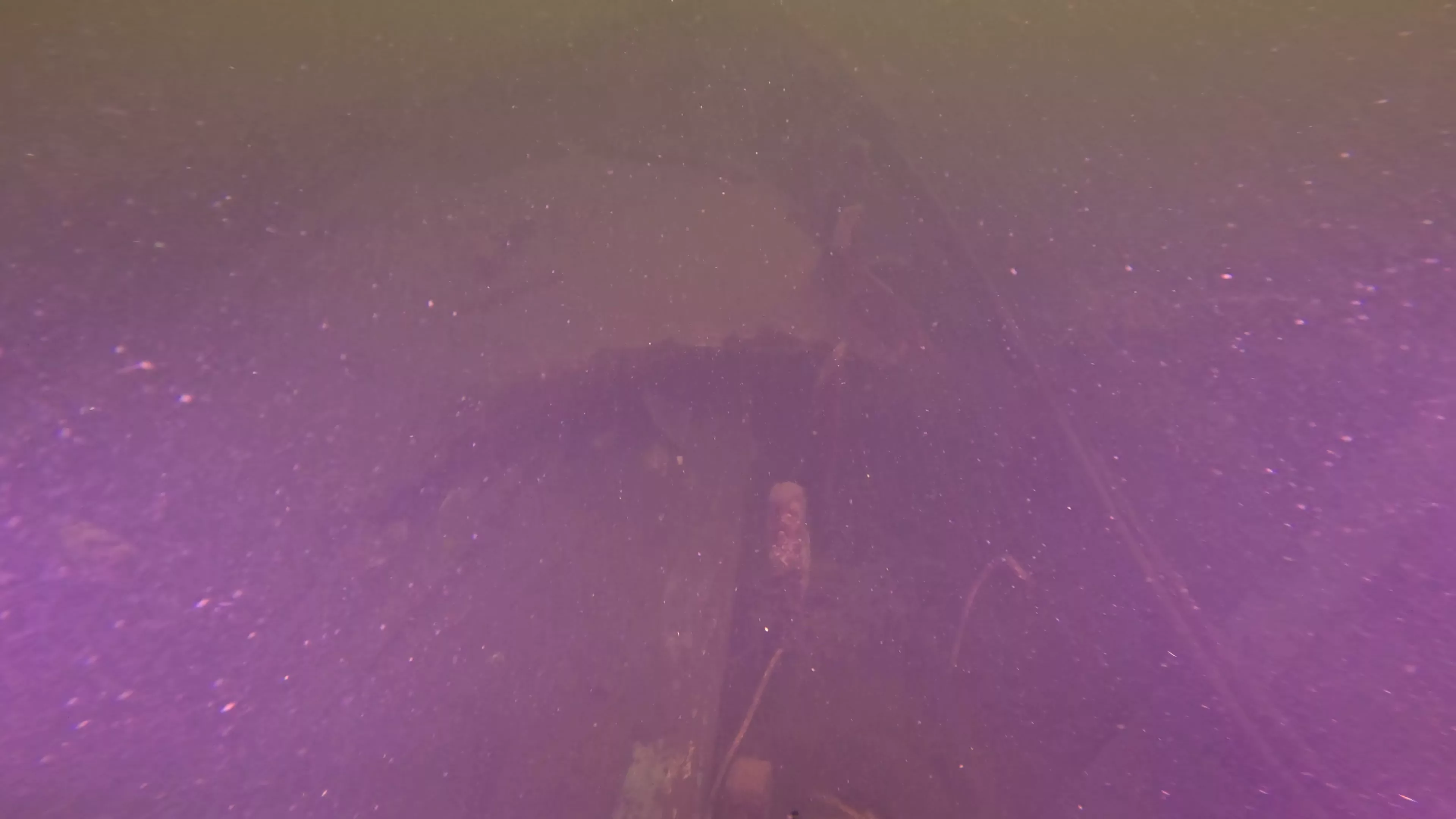 32' Wooden Boat Wreck (LU005), Lake Union, Seattle, WA — photo 2 of 11