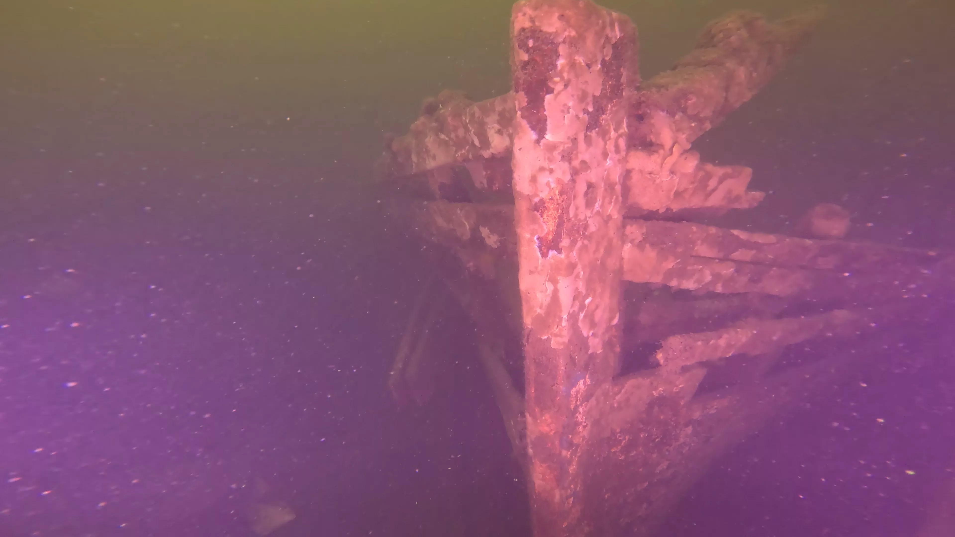 32' Wooden Boat Wreck (LU005), Lake Union, Seattle, WA — photo 5 of 11