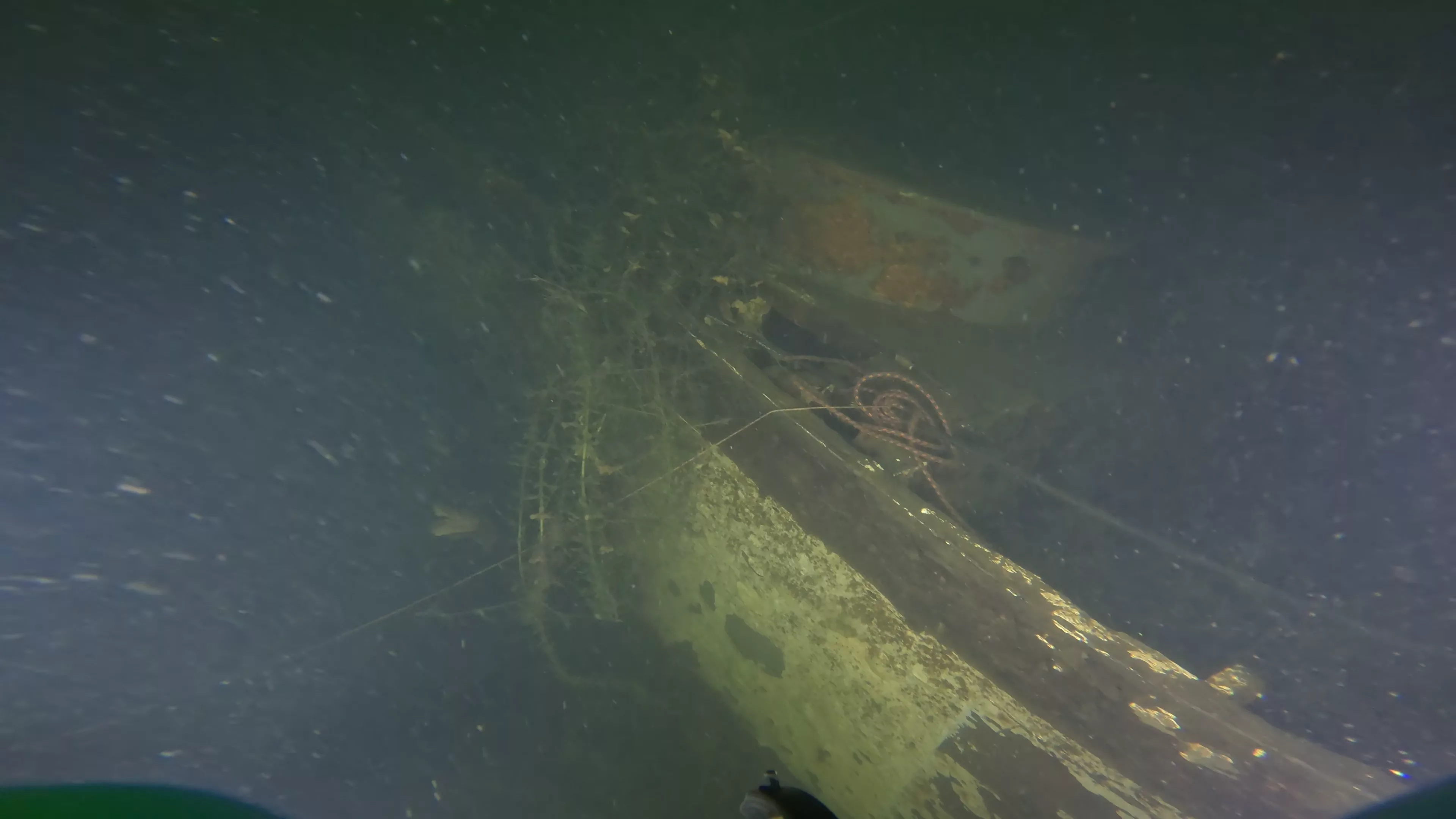 WWII Higgins Boat Wreck (LCVP) (LU006), Lake Union, Seattle, WA — photo 7 of 26