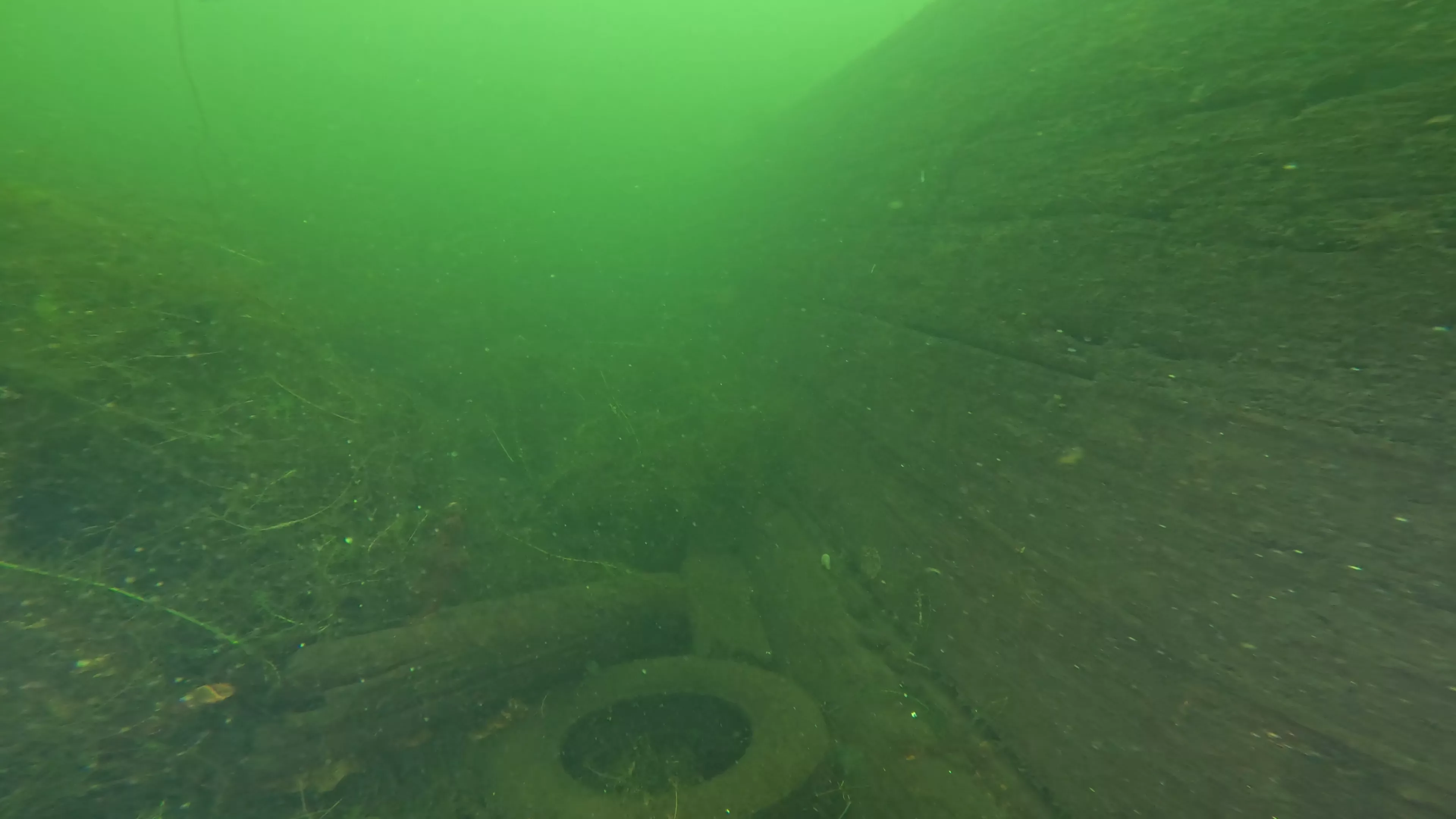 Foss 54: Sunken 1908 Navy Barge (LU007), Lake Union, Seattle, WA — photo 1 of 16