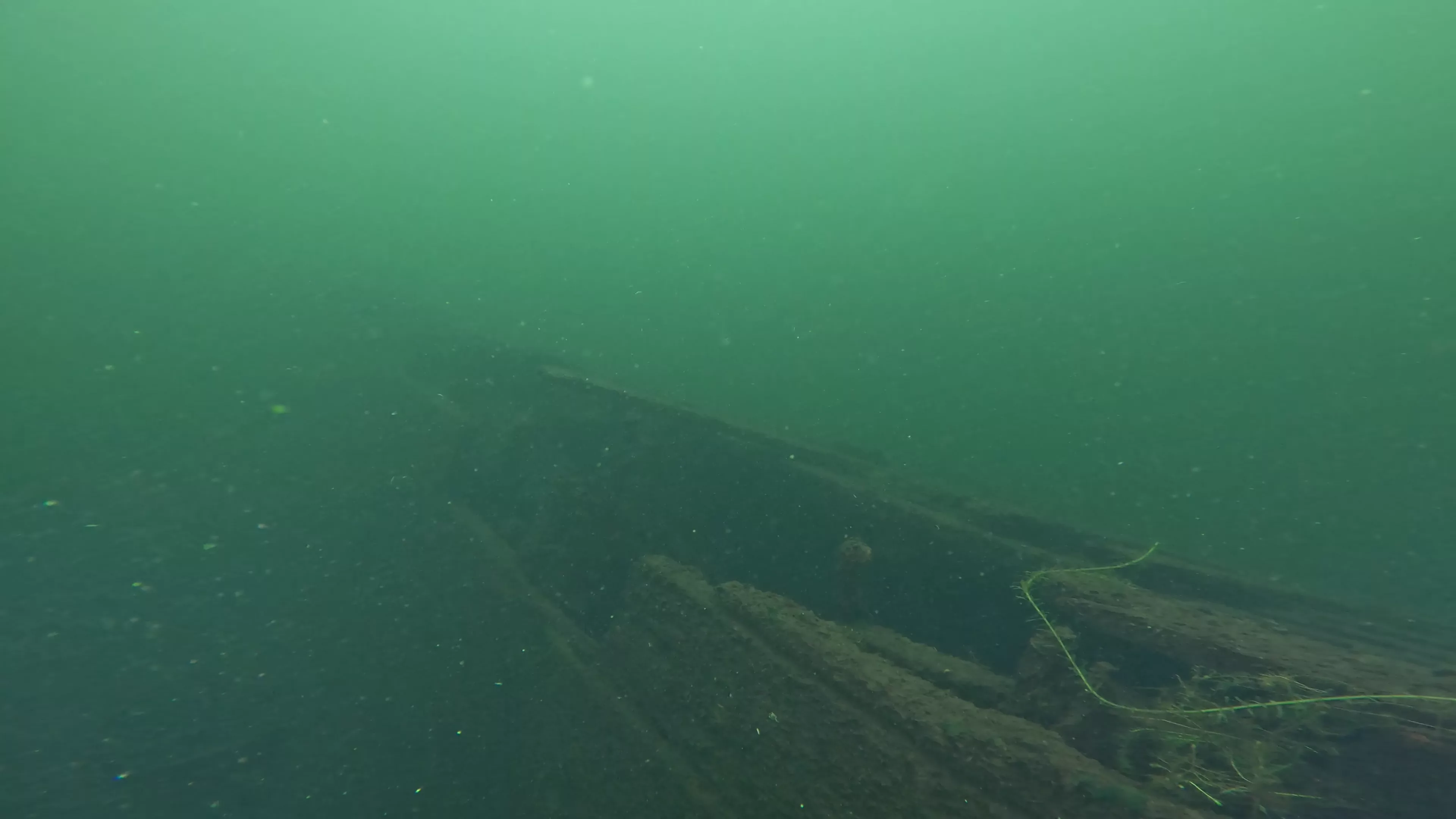 Foss 54: Sunken 1908 Navy Barge (LU007), Lake Union, Seattle, WA — photo 2 of 16