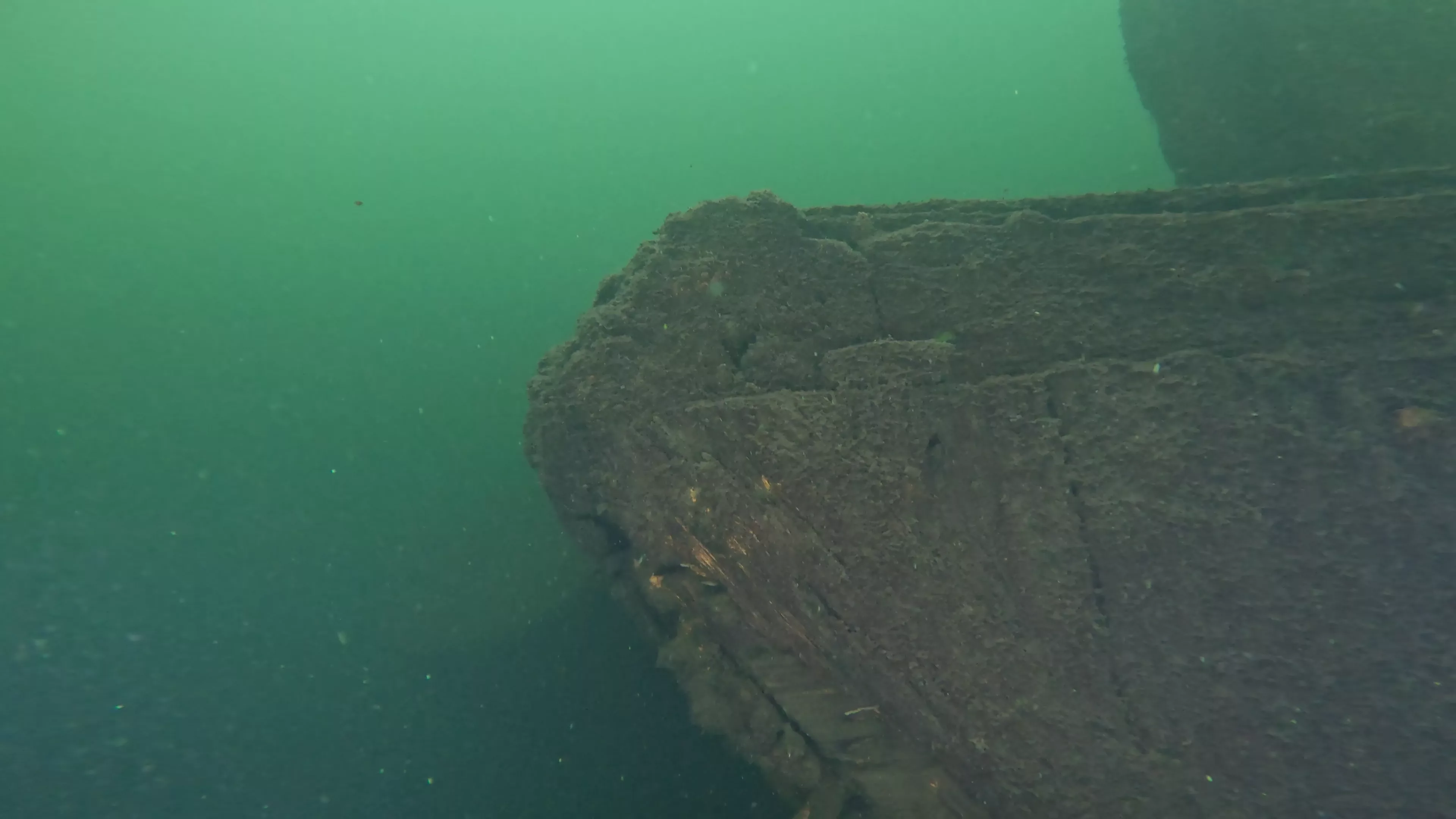 Foss 54: Sunken 1908 Navy Barge (LU007), Lake Union, Seattle, WA — photo 4 of 16
