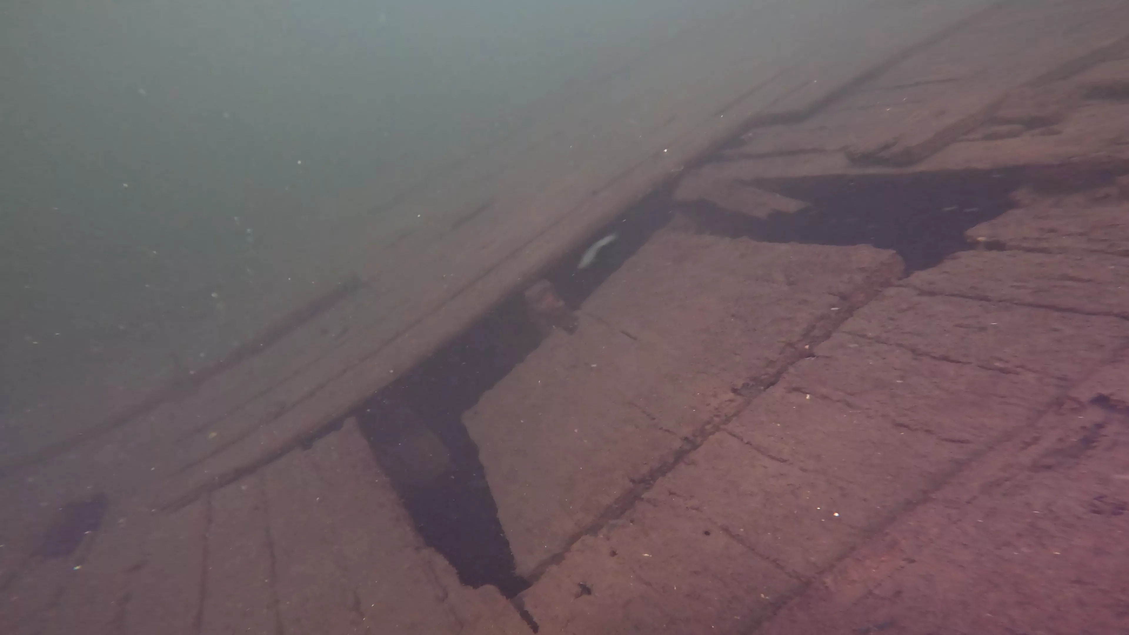 Foss 54: Sunken 1908 Navy Barge (LU007), Lake Union, Seattle, WA — photo 9 of 16