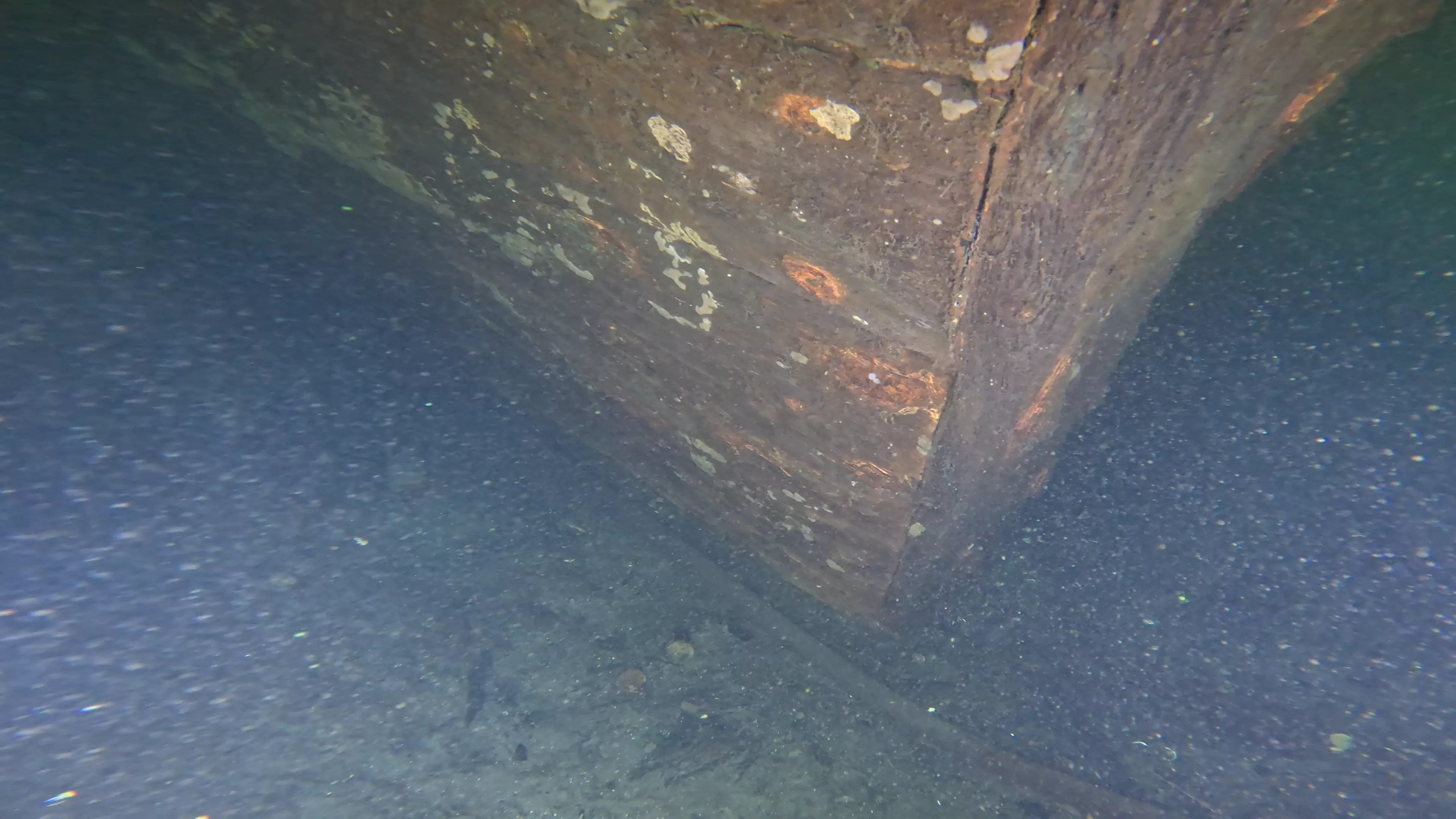 Foss 54: Sunken 1908 Navy Barge (LU007), Lake Union, Seattle, WA — photo 11 of 16