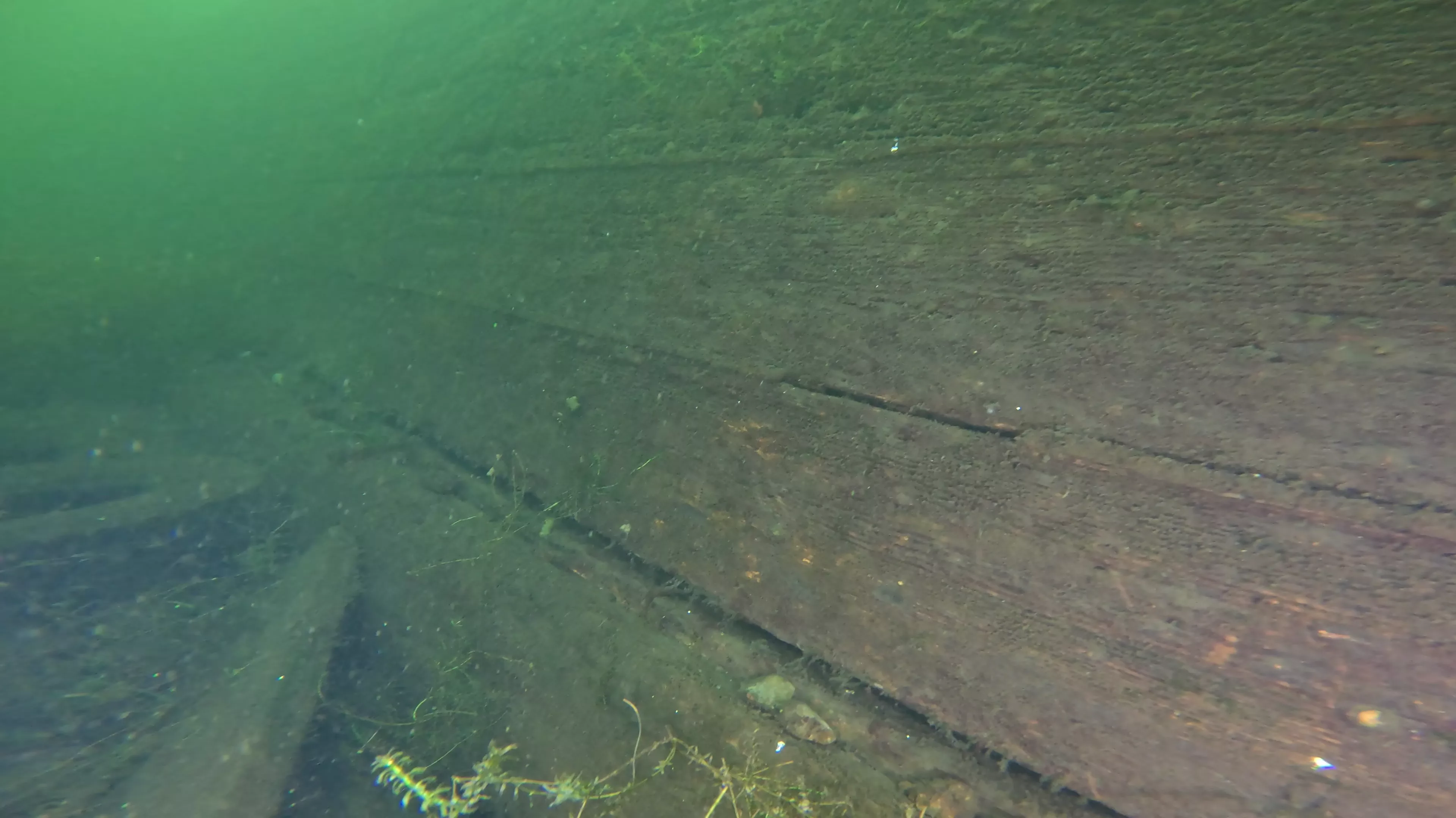Foss 54: Sunken 1908 Navy Barge (LU007), Lake Union, Seattle, WA — photo 12 of 16