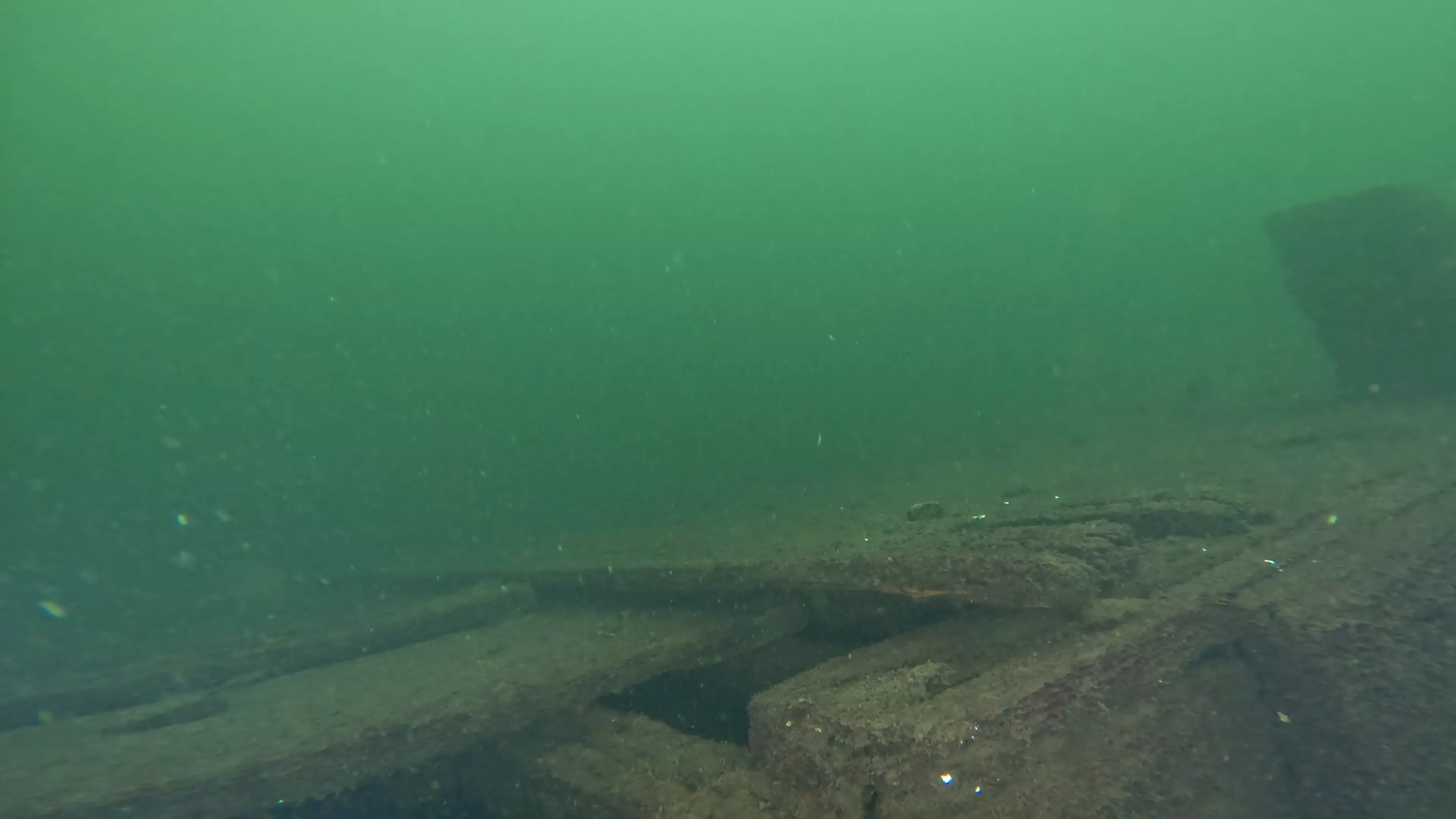 Foss 54: Sunken 1908 Navy Barge (LU007), Lake Union, Seattle, WA — photo 15 of 16