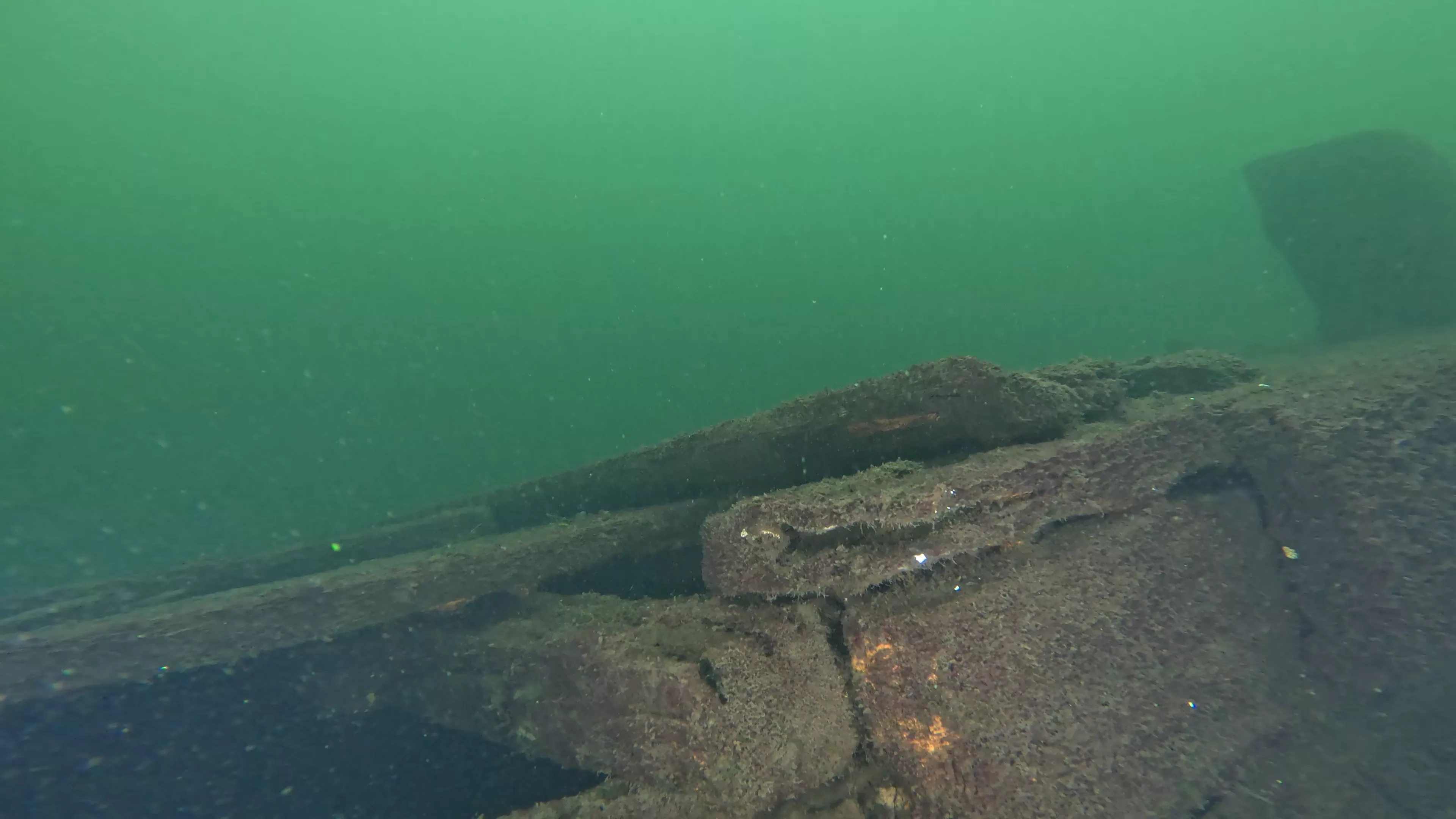 Foss 54: Sunken 1908 Navy Barge (LU007), Lake Union, Seattle, WA — photo 16 of 16