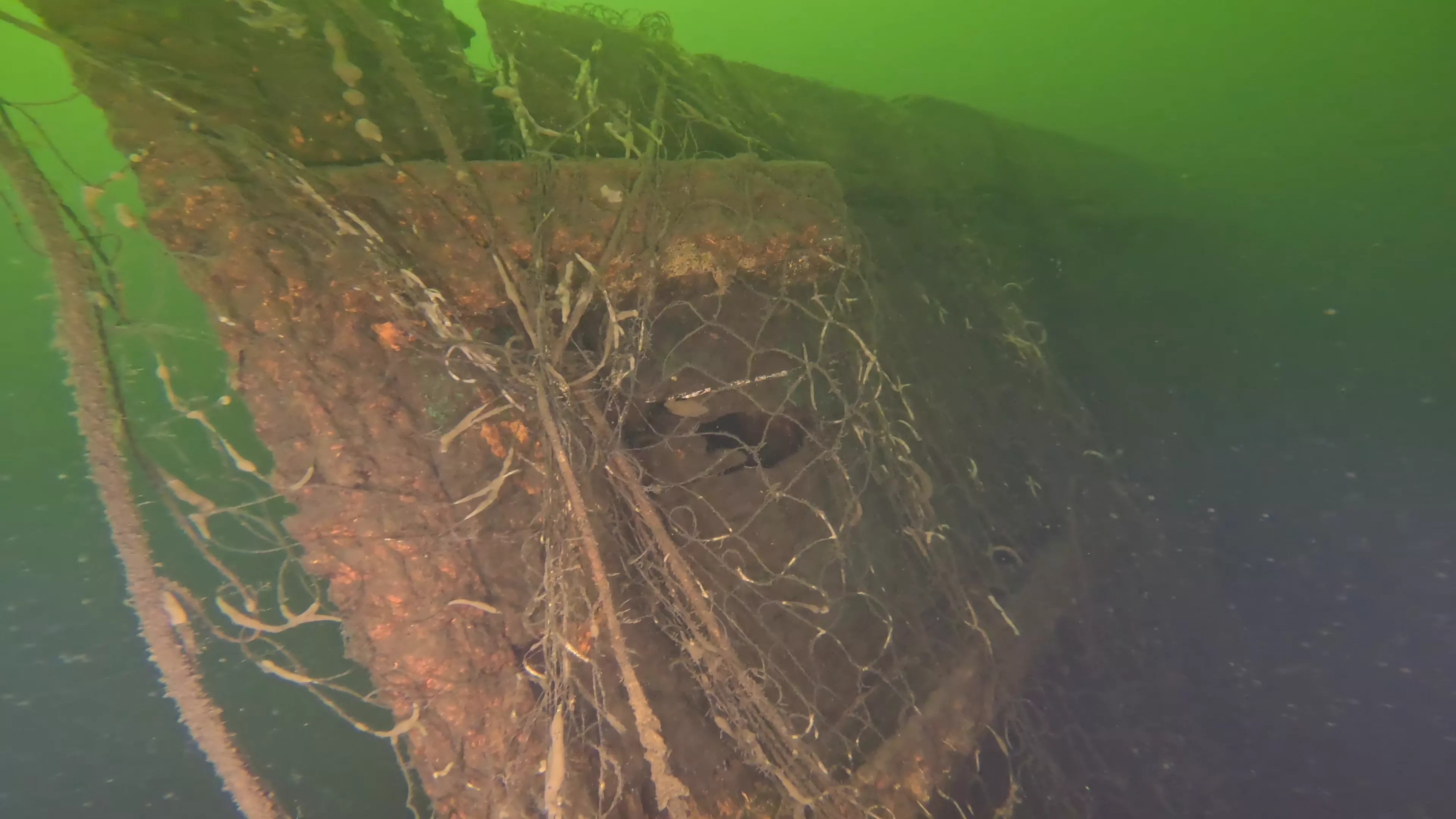 Irene: 45' Wooden Shipwreck (LU008), Lake Union, Seattle, WA — photo 3 of 17