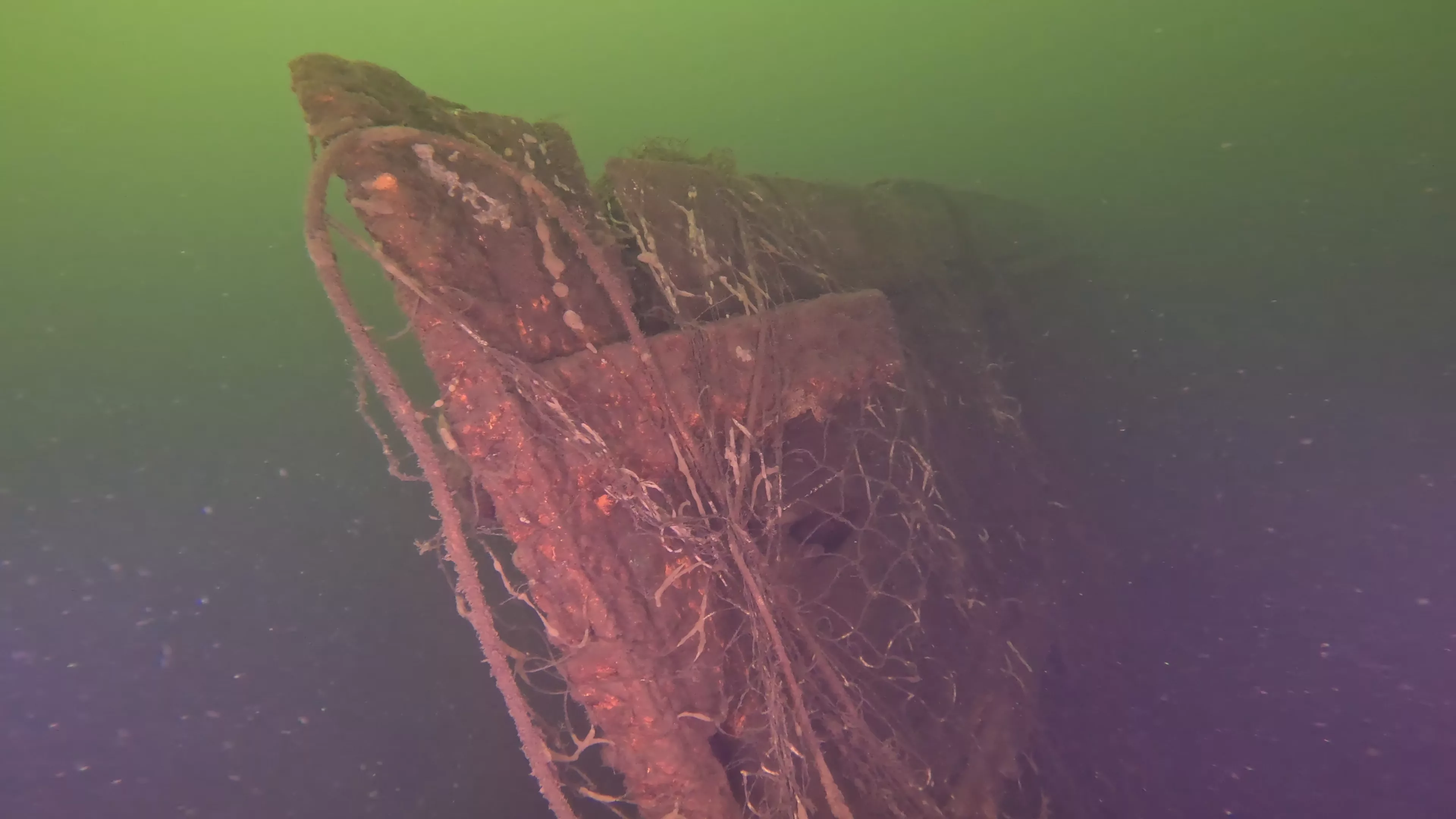 Irene: 45' Wooden Shipwreck (LU008), Lake Union, Seattle, WA — photo 4 of 17