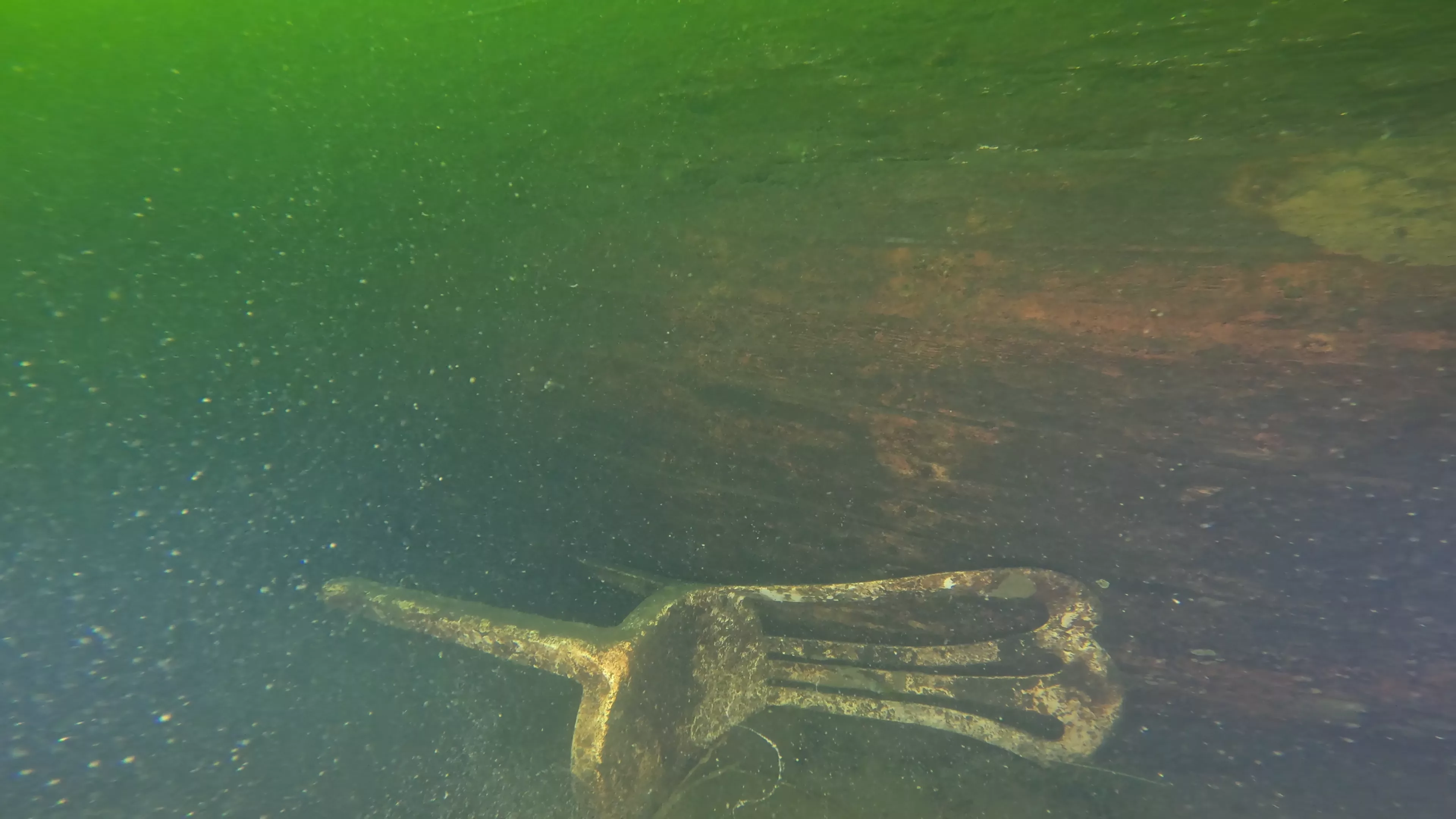 Irene: 45' Wooden Shipwreck (LU008), Lake Union, Seattle, WA — photo 5 of 17