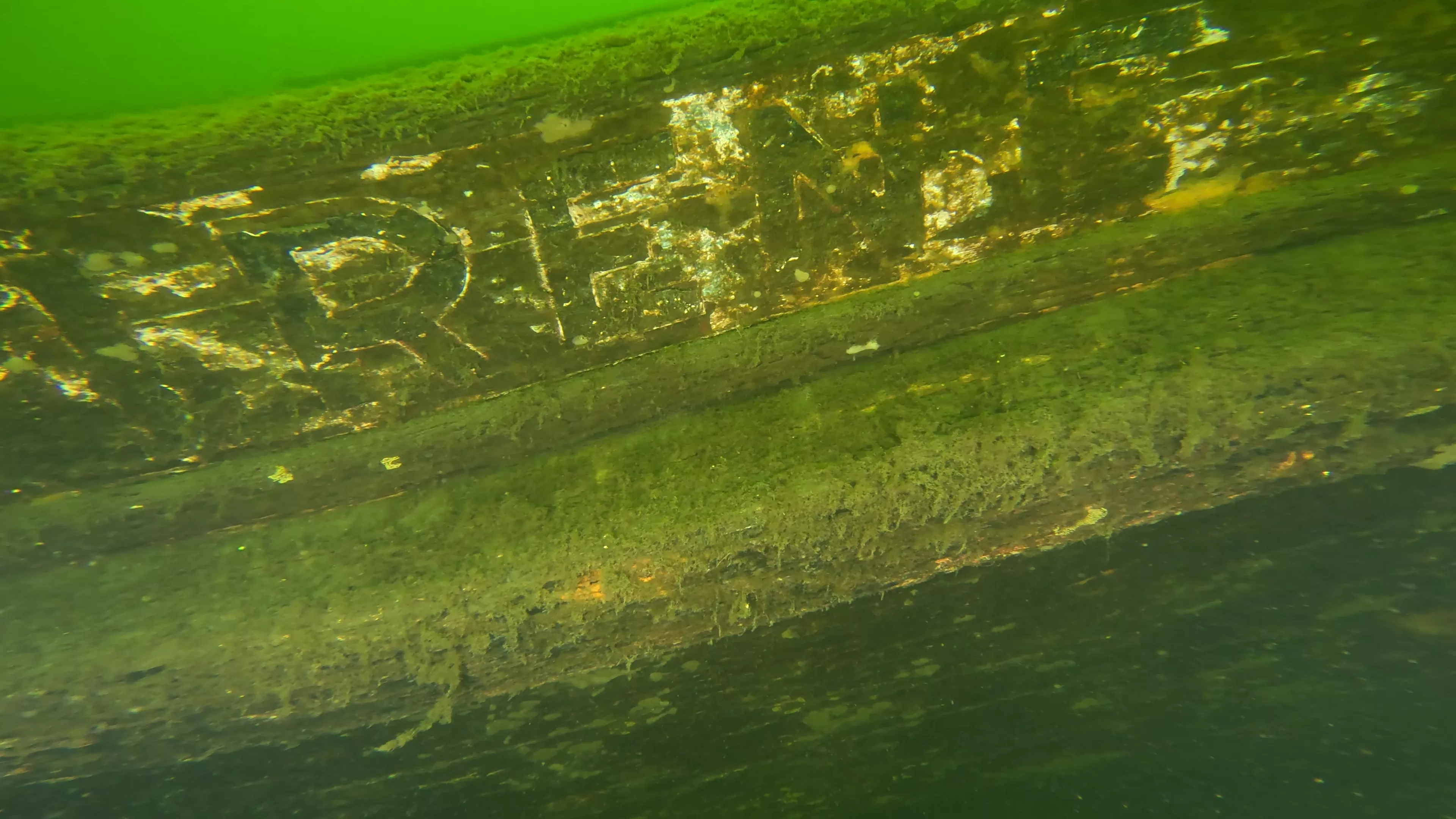 Irene: 45' Wooden Shipwreck (LU008), Lake Union, Seattle, WA — main photo