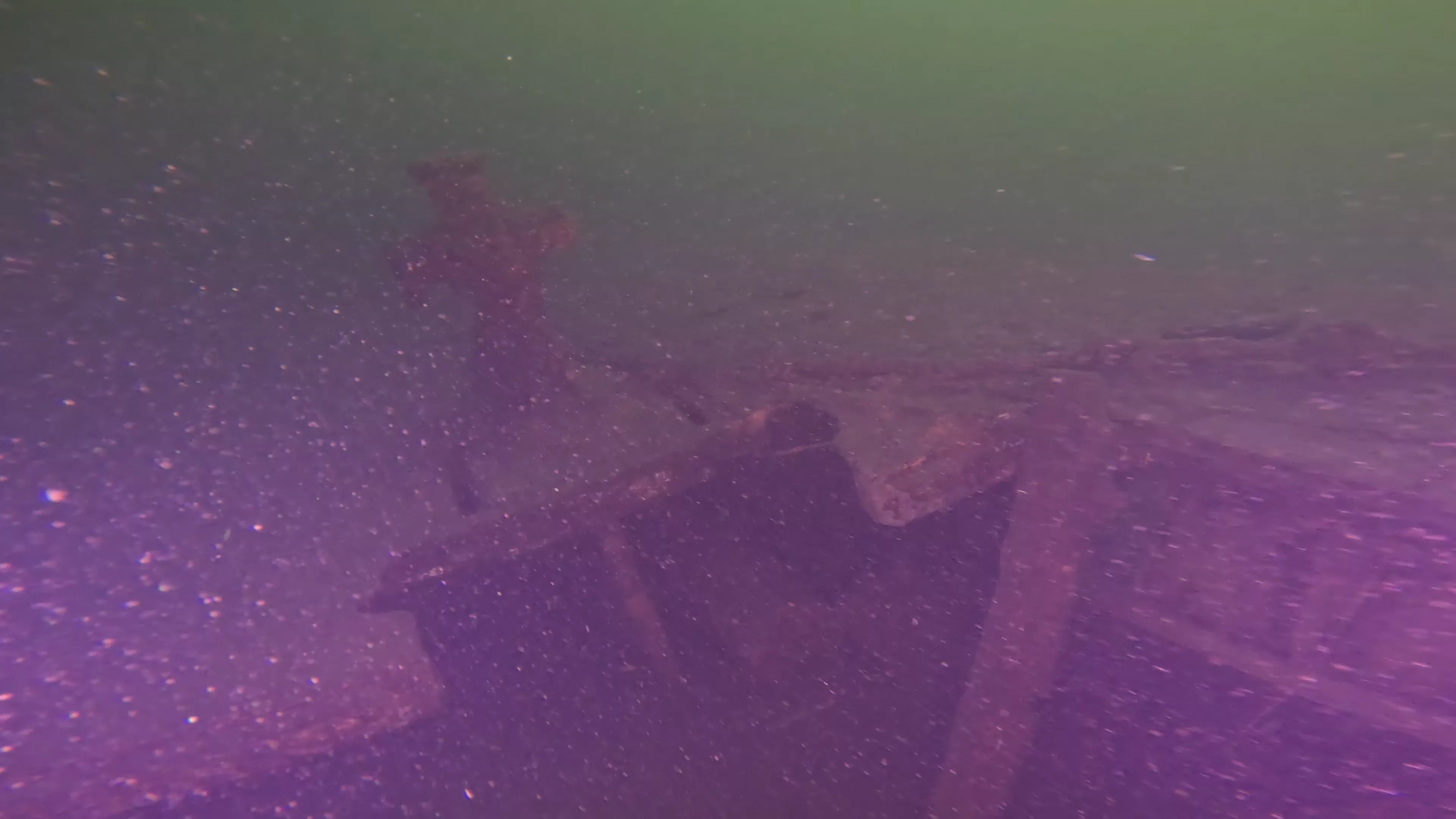 40' WWII-Era Landing Craft Wreck (LU009), Lake Union, Seattle, WA — photo 3 of 16