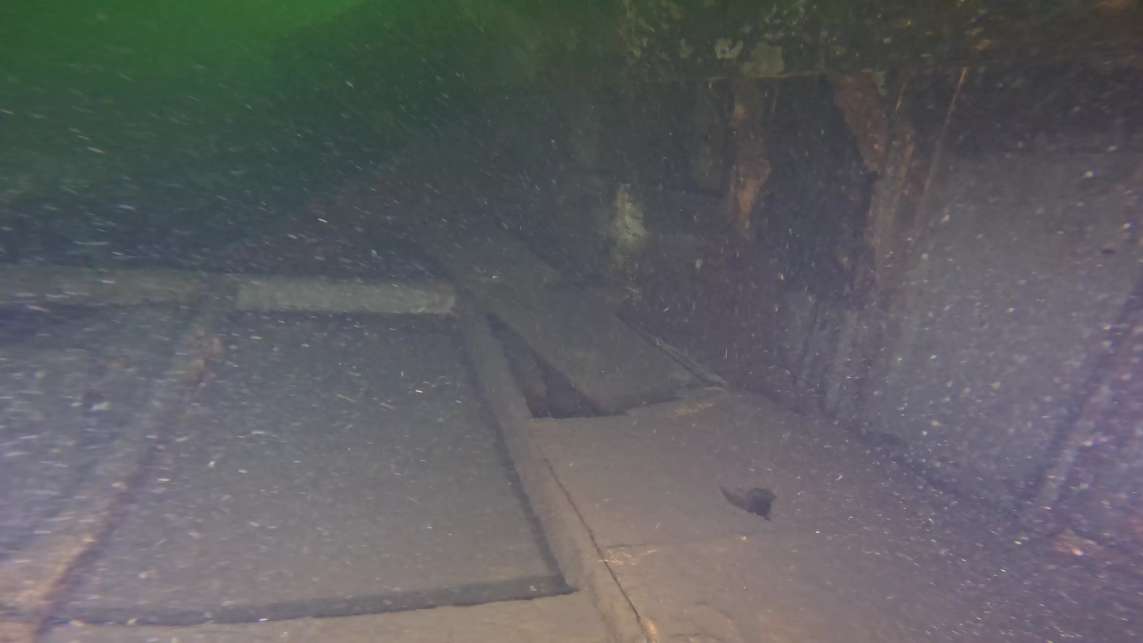 40' WWII-Era Landing Craft Wreck (LU009), Lake Union, Seattle, WA — photo 6 of 16