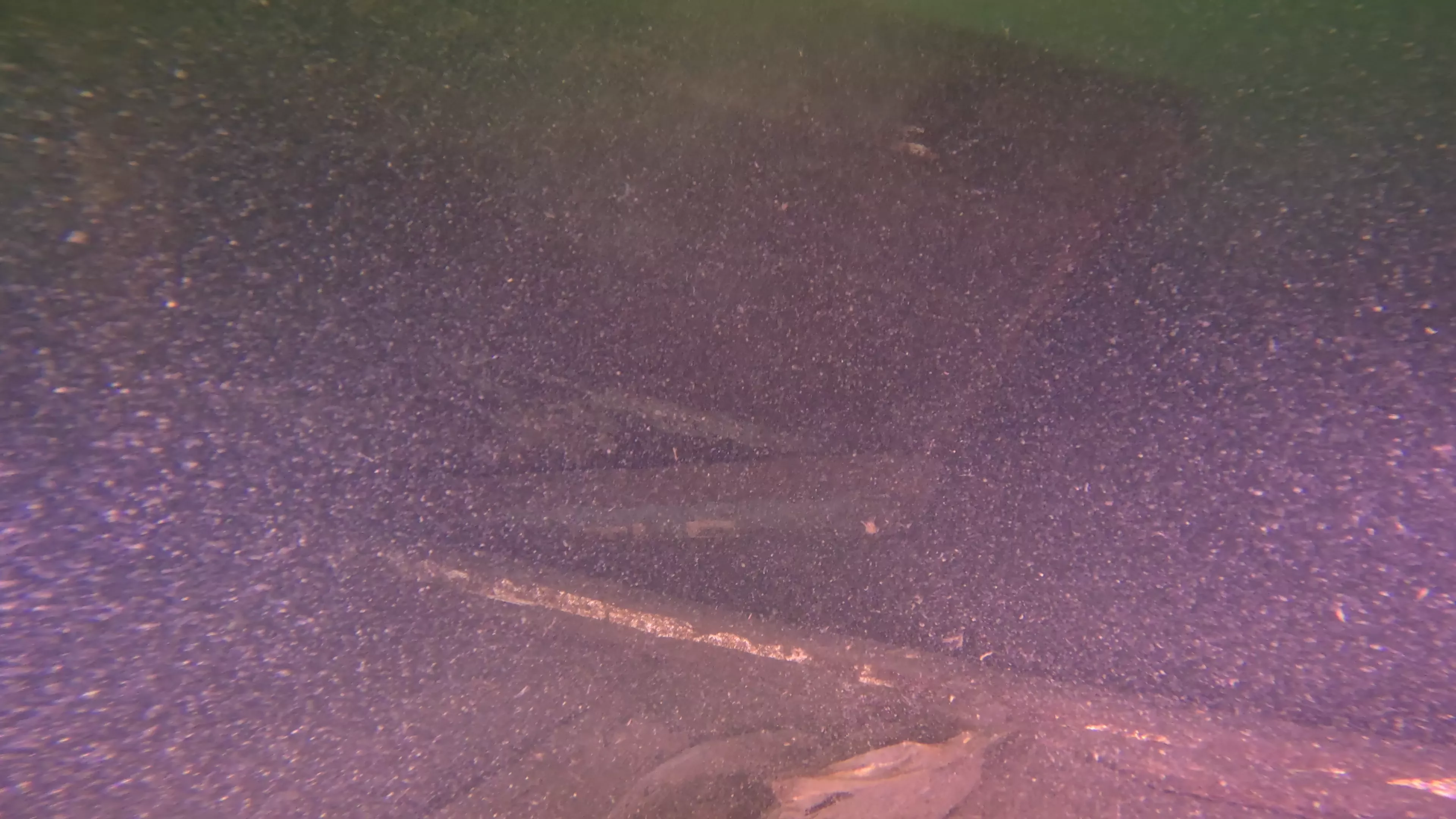 40' WWII-Era Landing Craft Wreck (LU009), Lake Union, Seattle, WA — photo 11 of 16