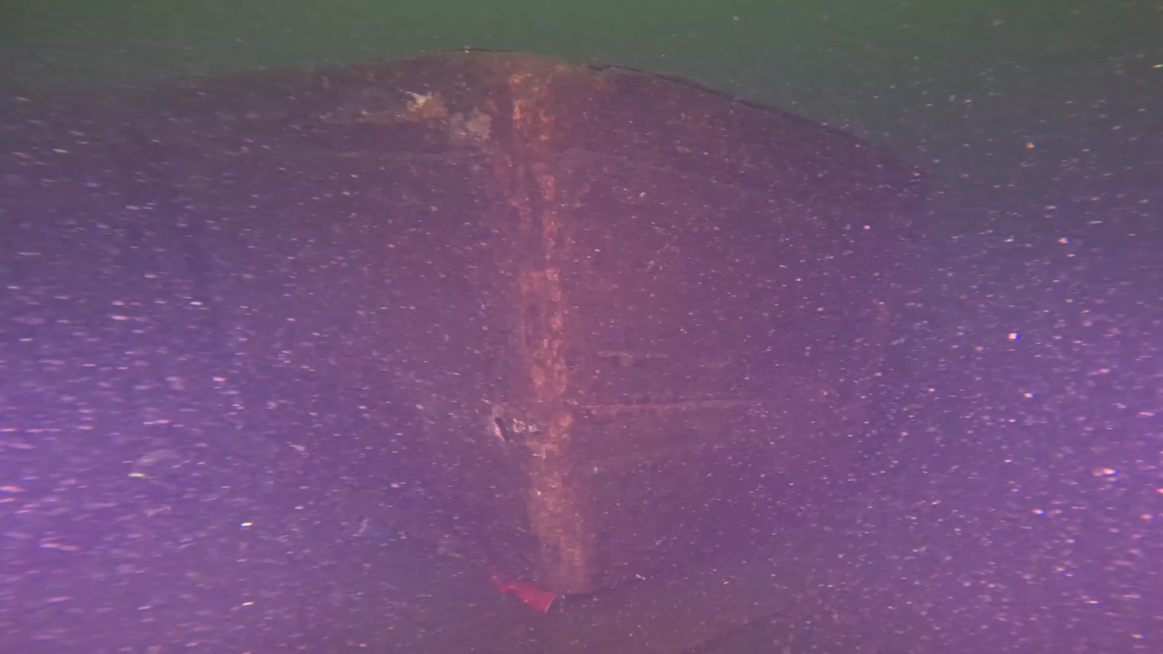 40' WWII-Era Landing Craft Wreck (LU009), Lake Union, Seattle, WA — photo 13 of 16