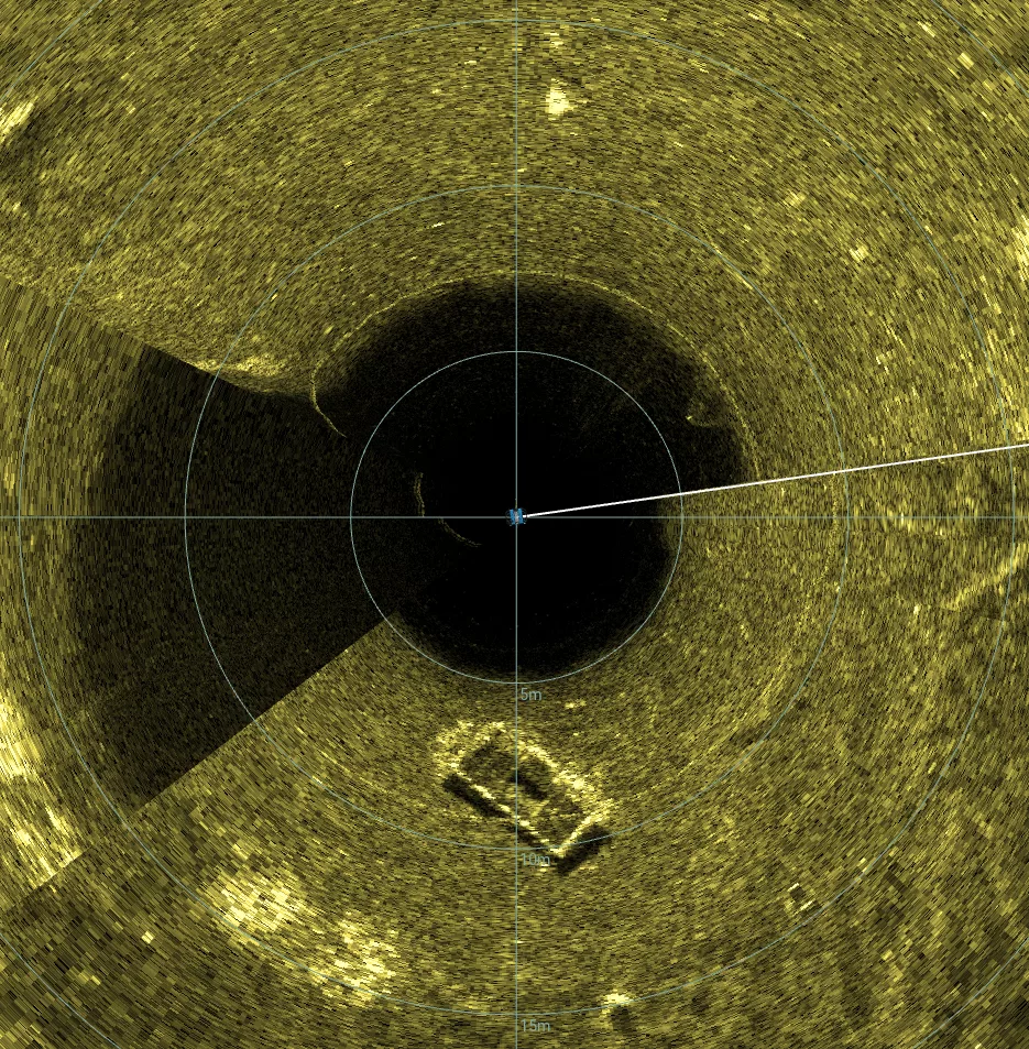 15' Wooden Work Barge Wreck (LU010), Lake Union, Seattle, WA — side-scan sonar image