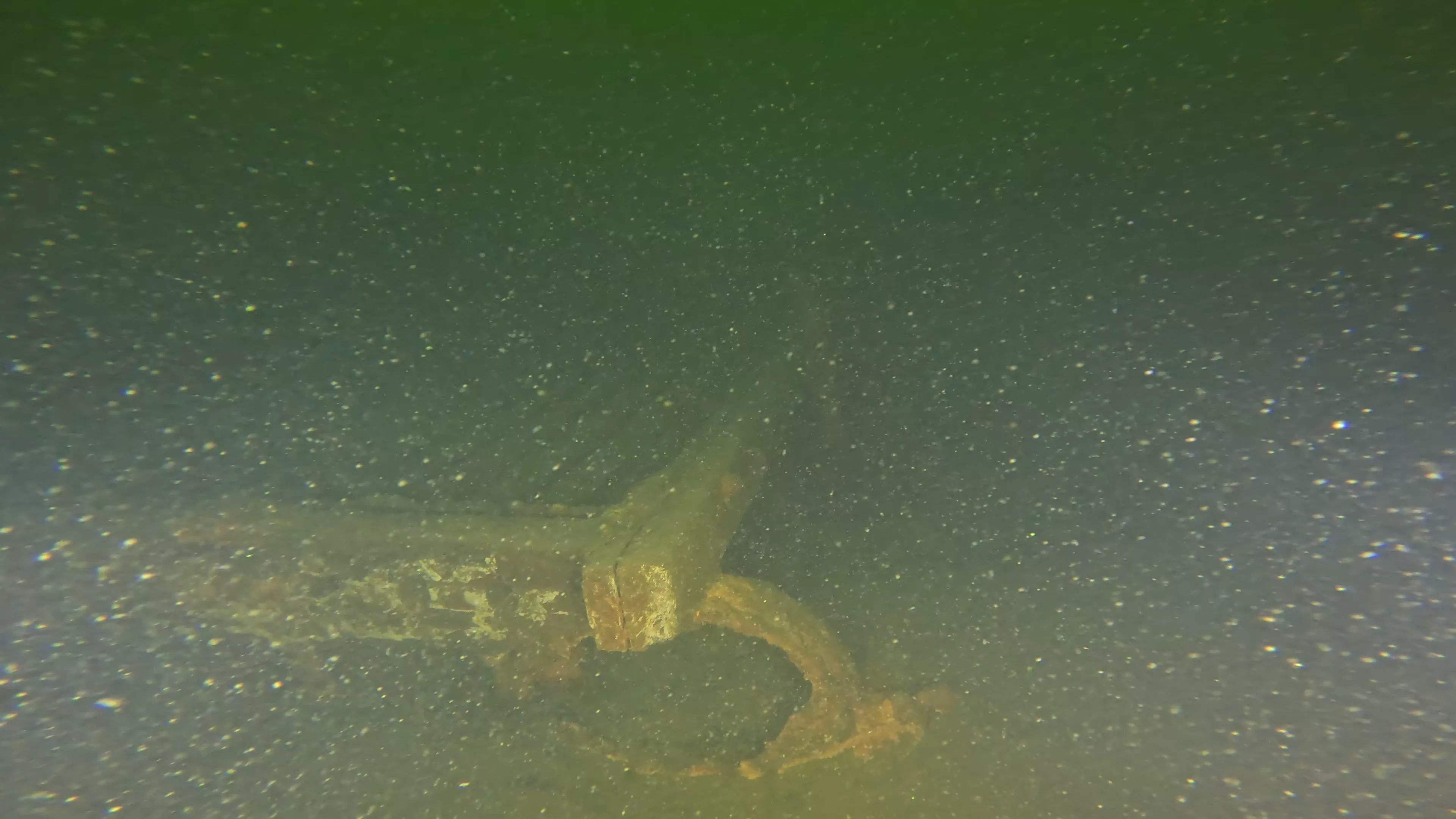 15' Wooden Work Barge Wreck (LU010), Lake Union, Seattle, WA — photo 3 of 8