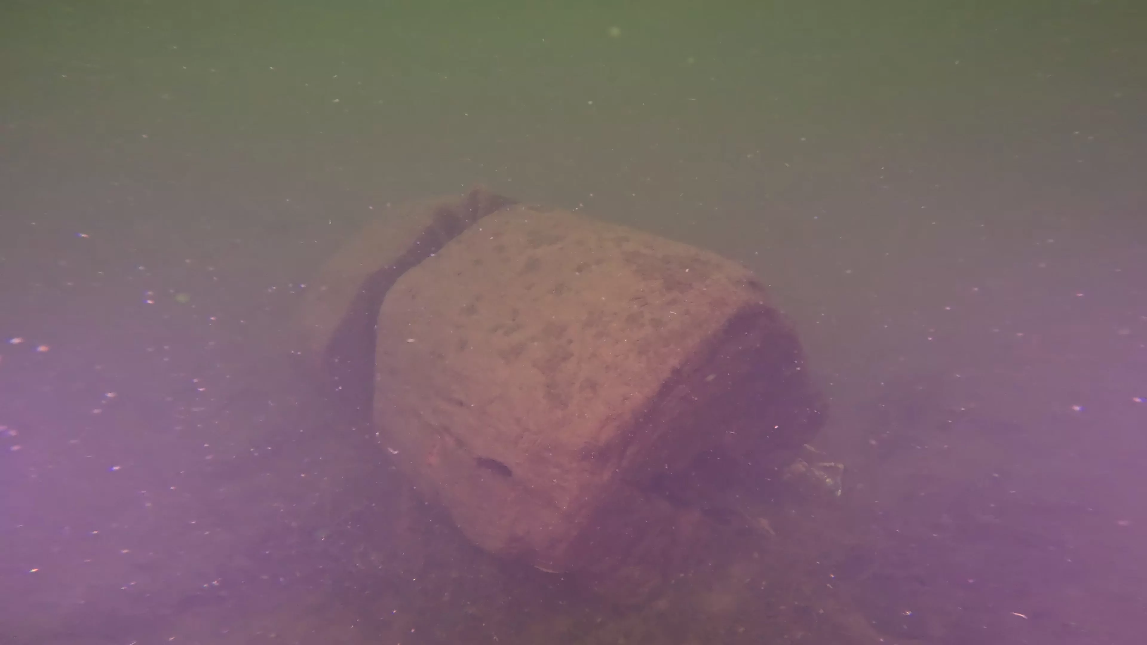 Timber & Rope Debris (LU011), Lake Union, Seattle, WA — photo 2 of 5