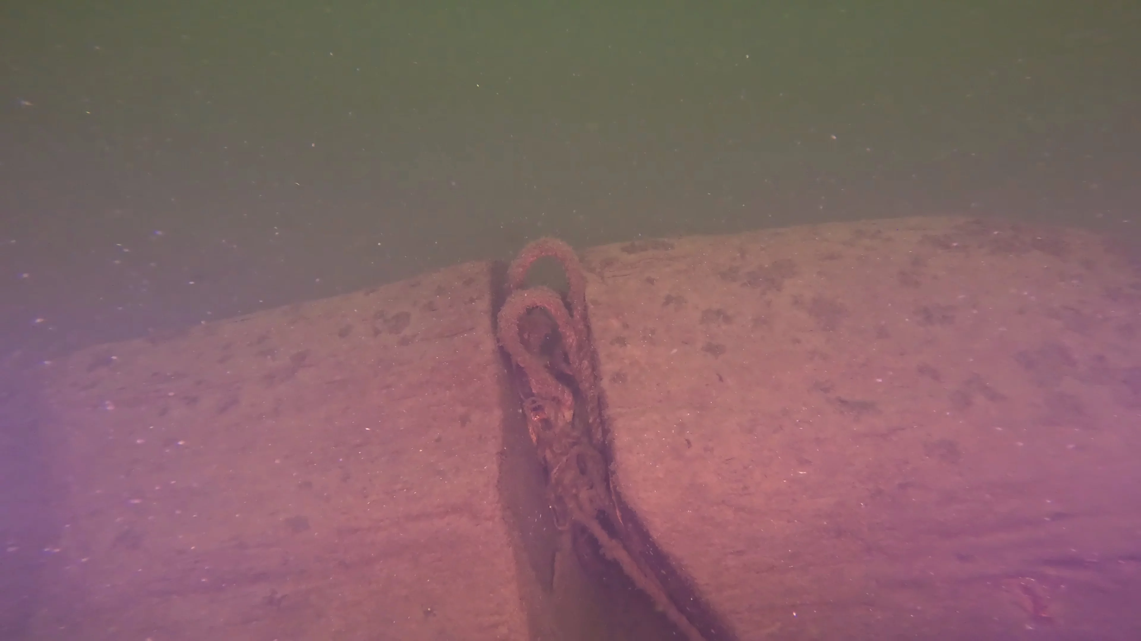 Timber & Rope Debris (LU011), Lake Union, Seattle, WA — photo 3 of 5