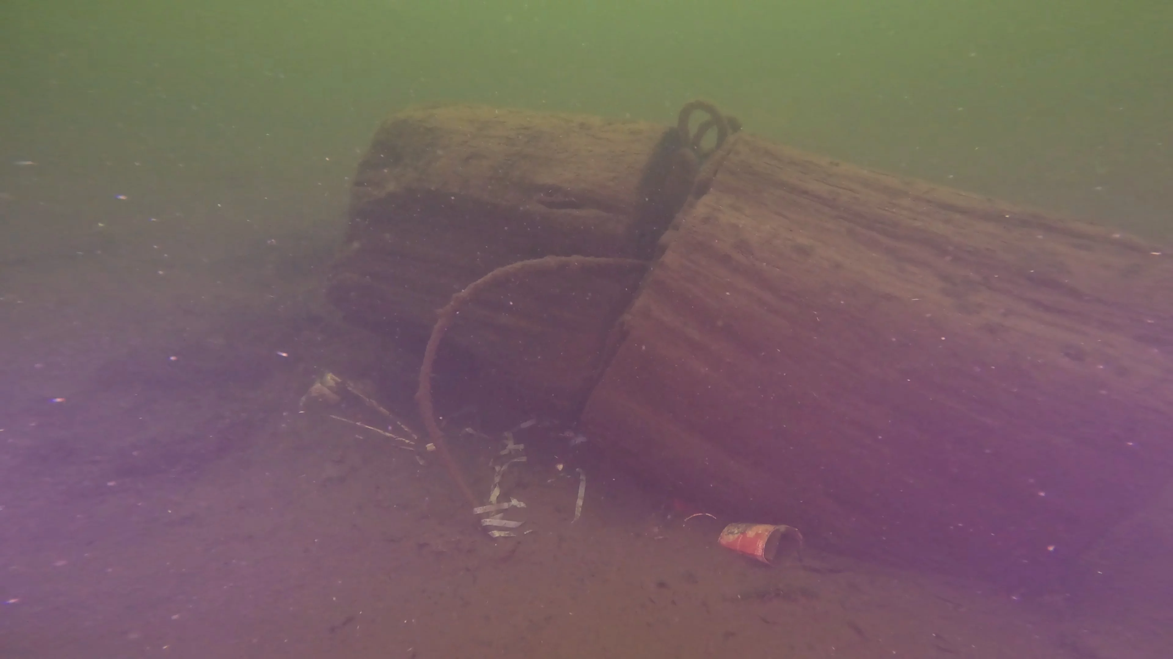Timber & Rope Debris (LU011), Lake Union, Seattle, WA — photo 4 of 5