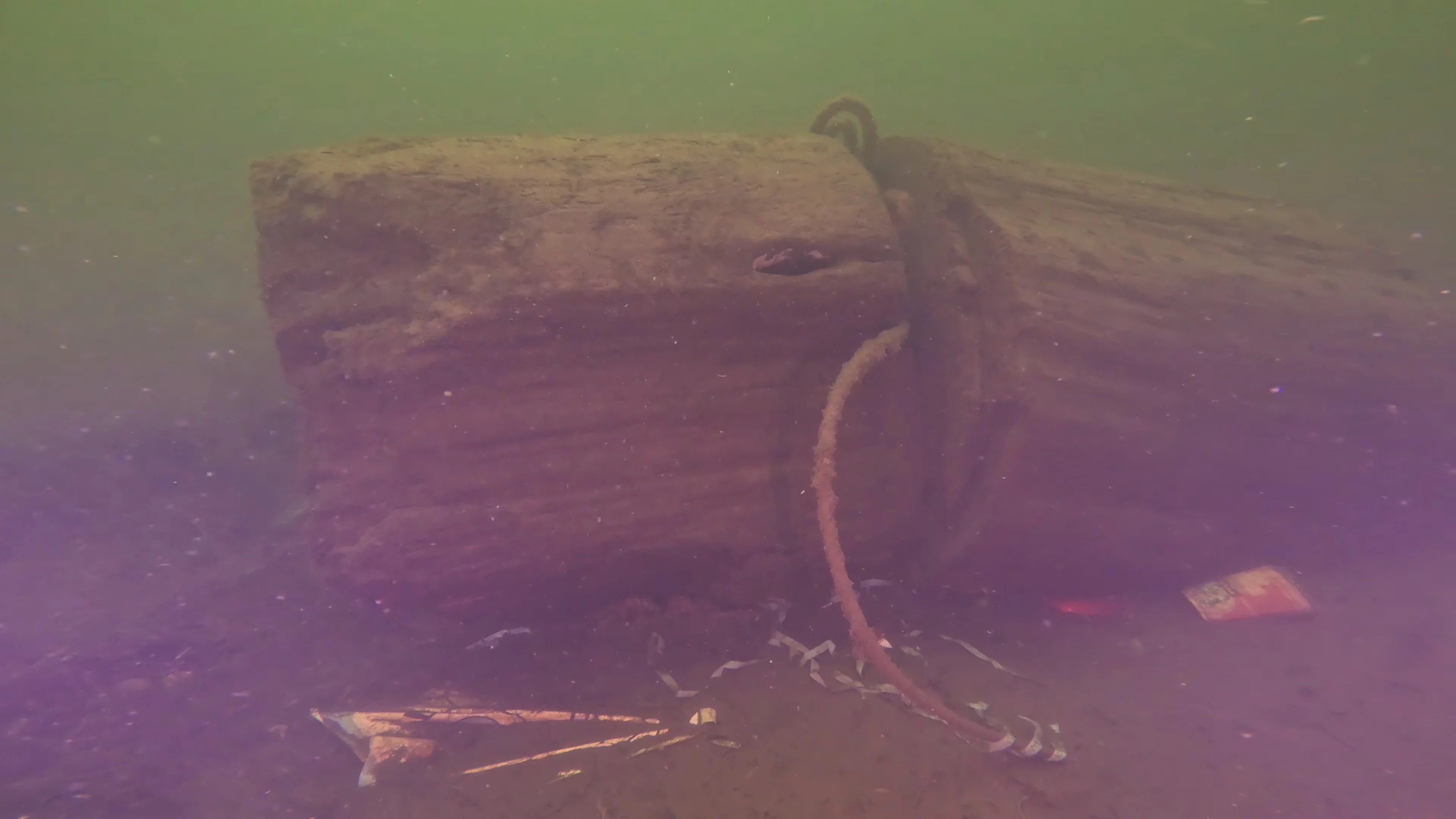Timber & Rope Debris (LU011), Lake Union, Seattle, WA — main photo